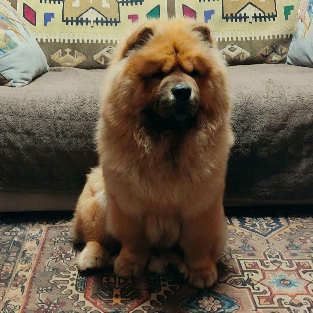 Сеня 7 месяцев