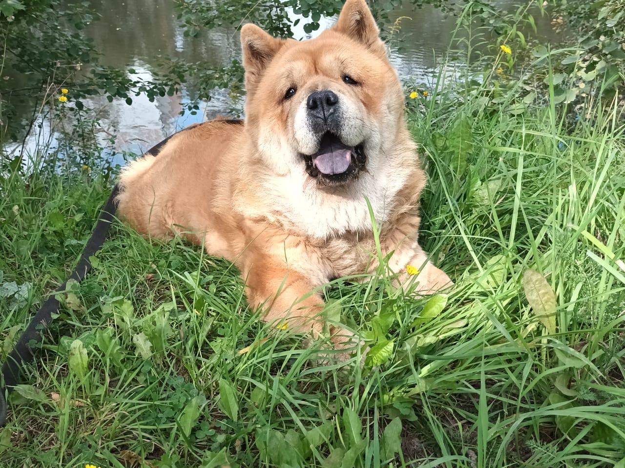 KLOTO BRIZARD MARIYA (Маша)