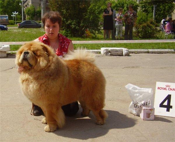 Цезарь 14 месяцев моно г. Рязань