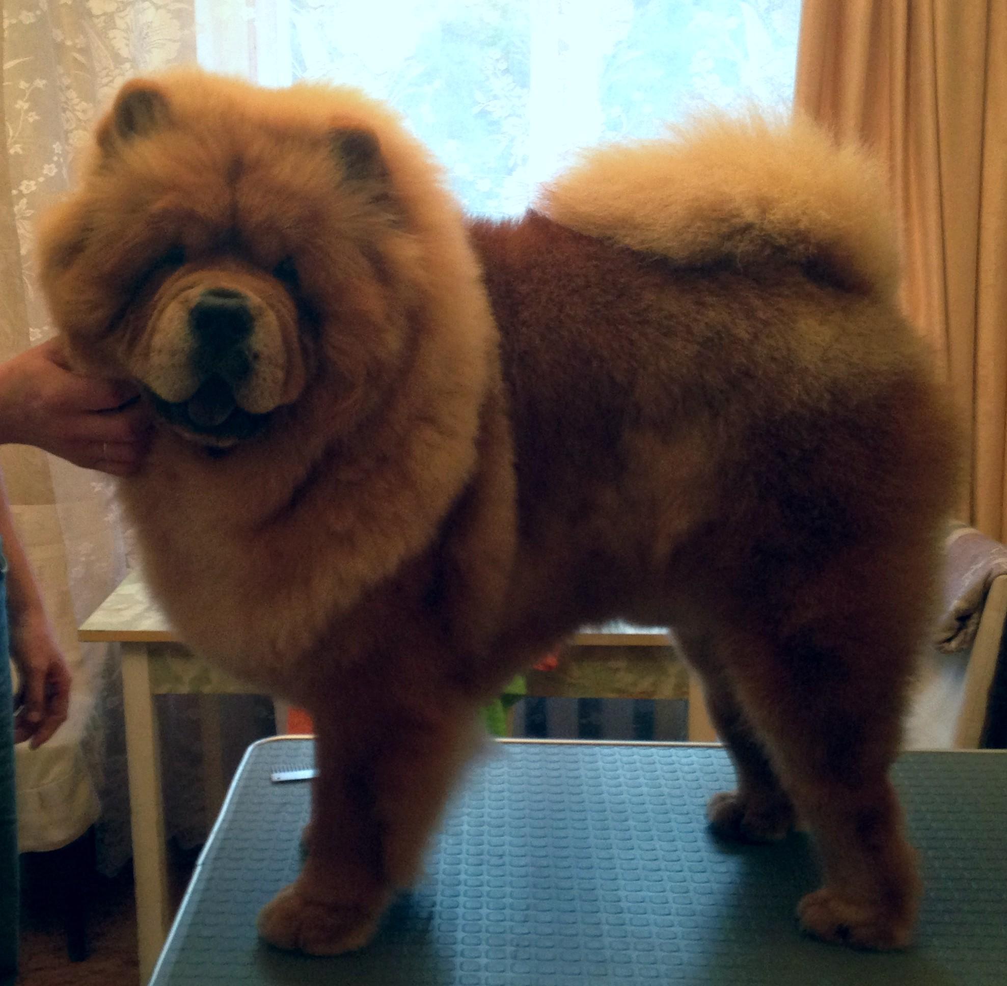 Сеня - 10 месяцев - Фауна 15.09.2013 - отл.-1, ЮСАС, ЛЮ