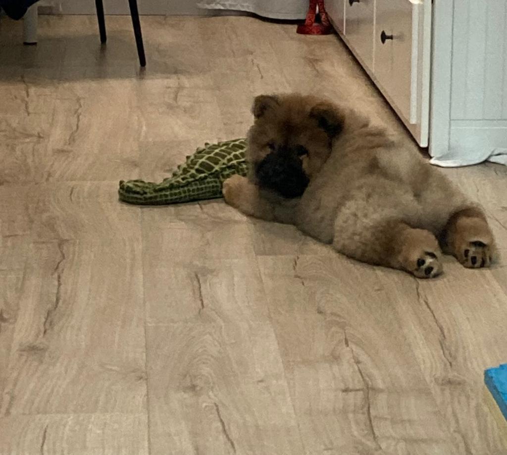 Клото Сани Анджонг