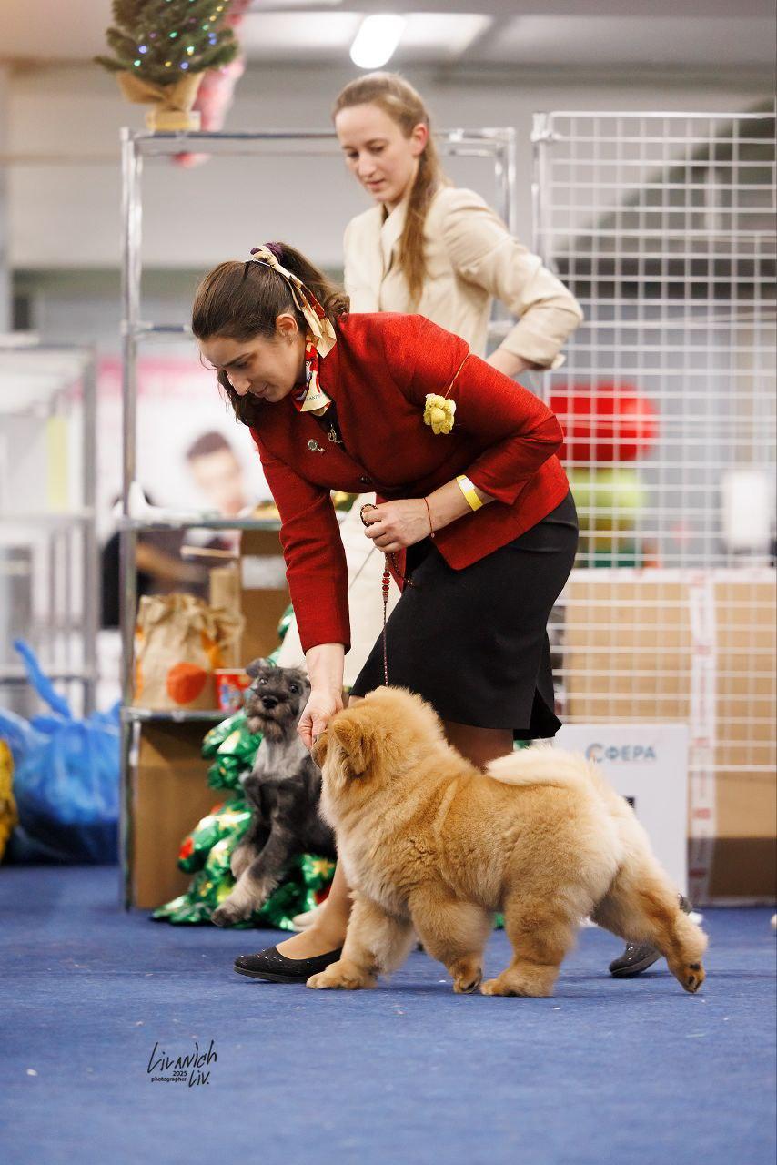 25.10.2025 Hip-Hop Djalo 