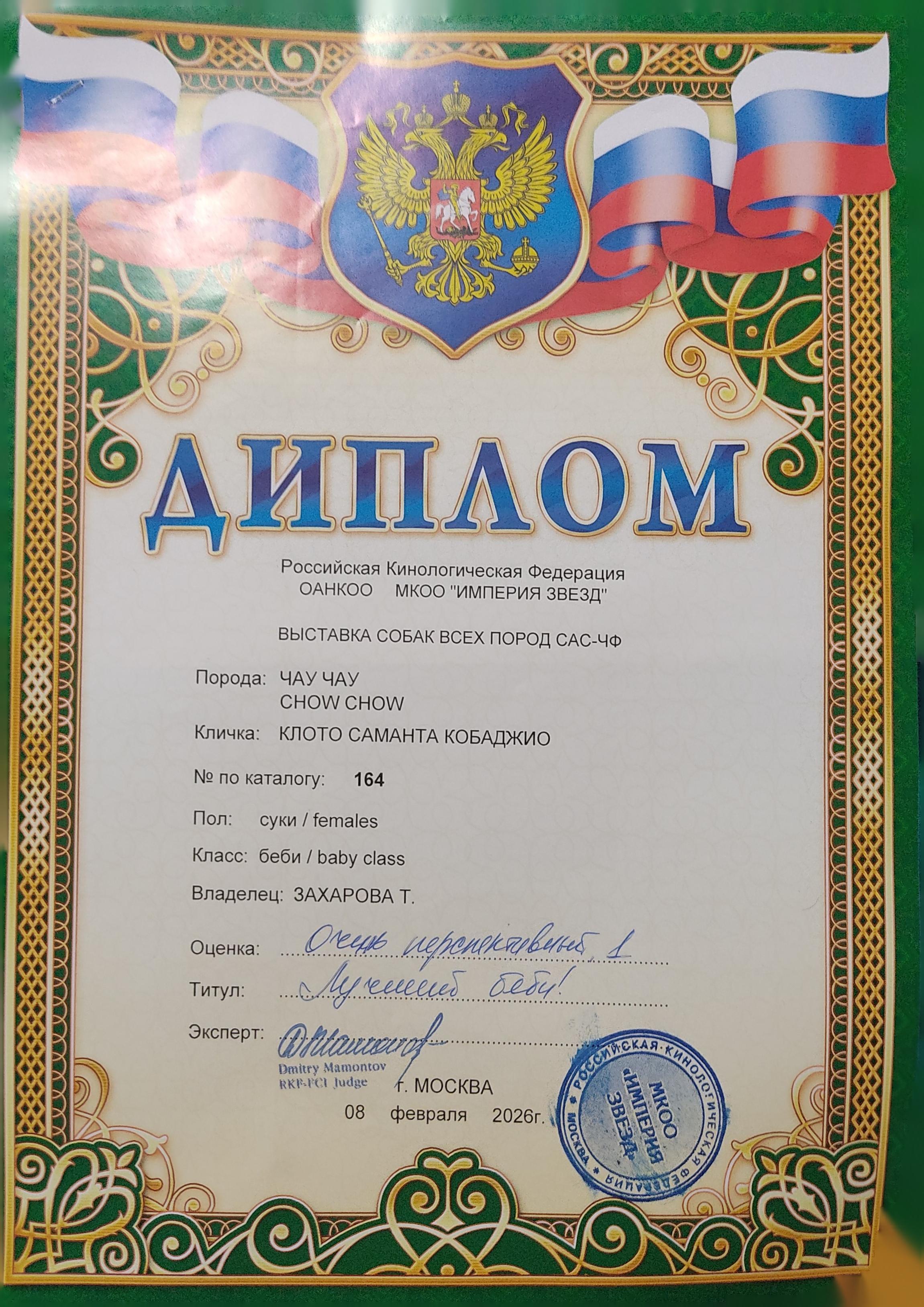 25.10.2025 Hip-Hop Djalo 