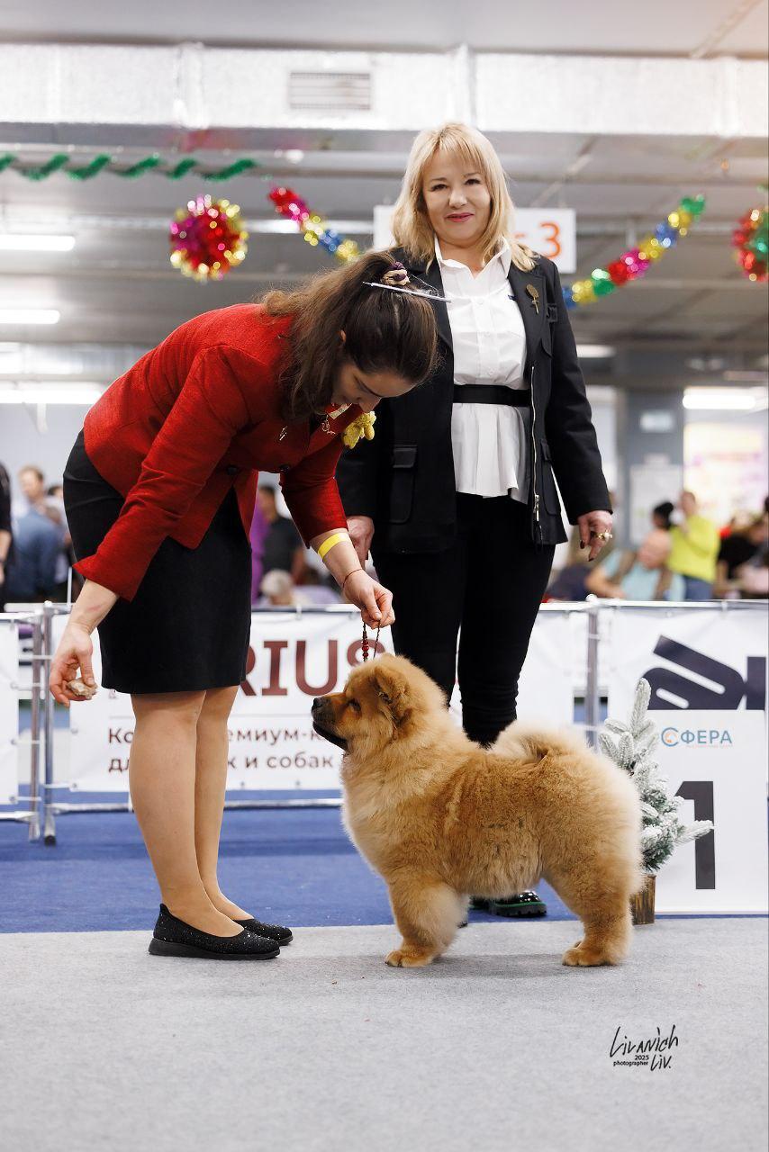 25.10.2025 Hip-Hop Djalo 