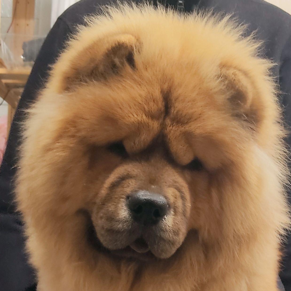 Сеня 7 месяцев