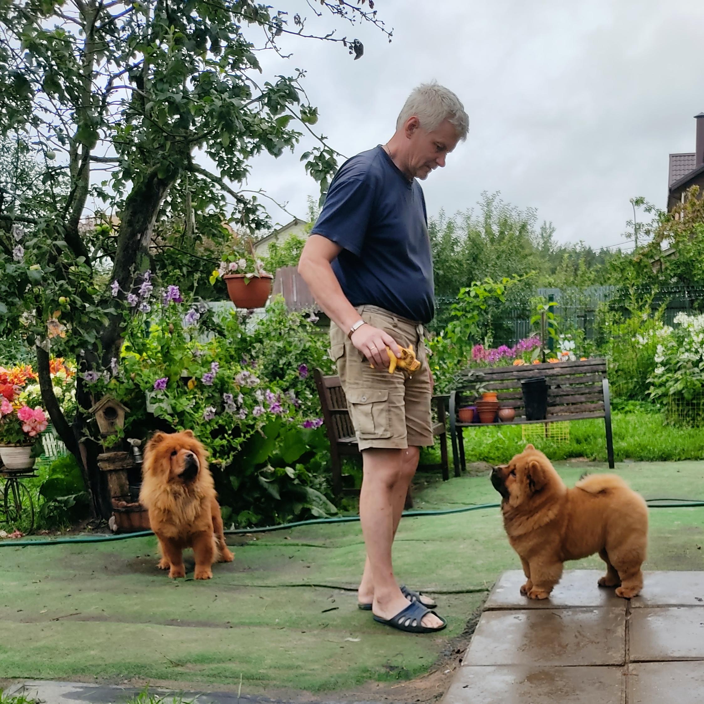 Клото Сани Анджонг