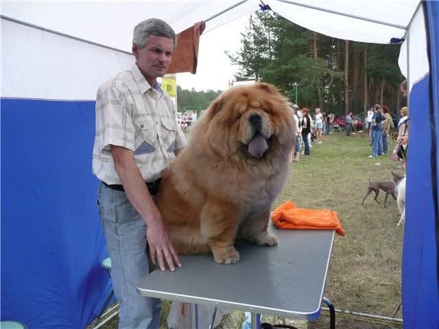 Выставка г. Владимир 07.08.2011г