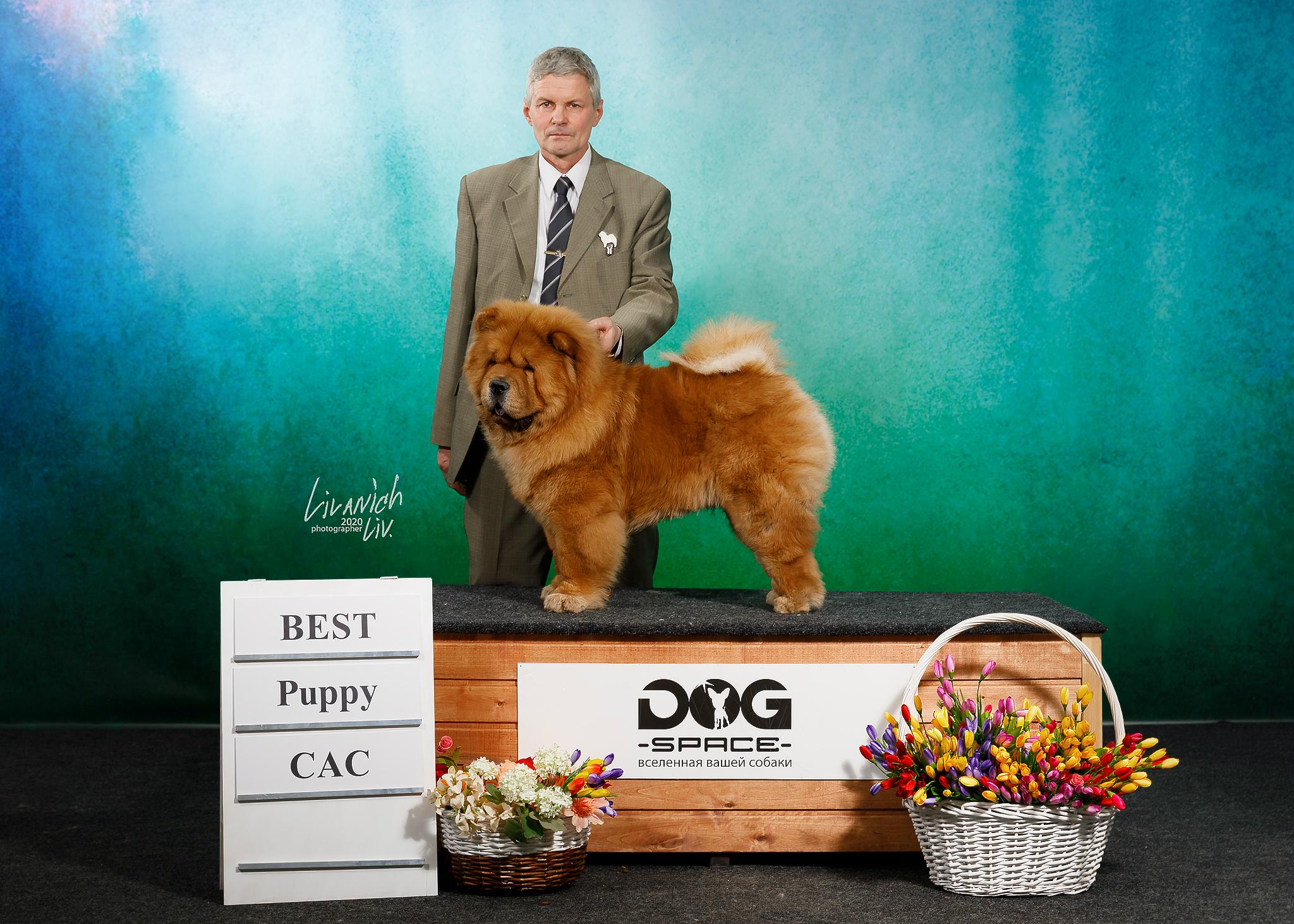 Сеня - 15 месяцев - Фауна - 08.02.2014 - отл., CW, САС, ЧФ