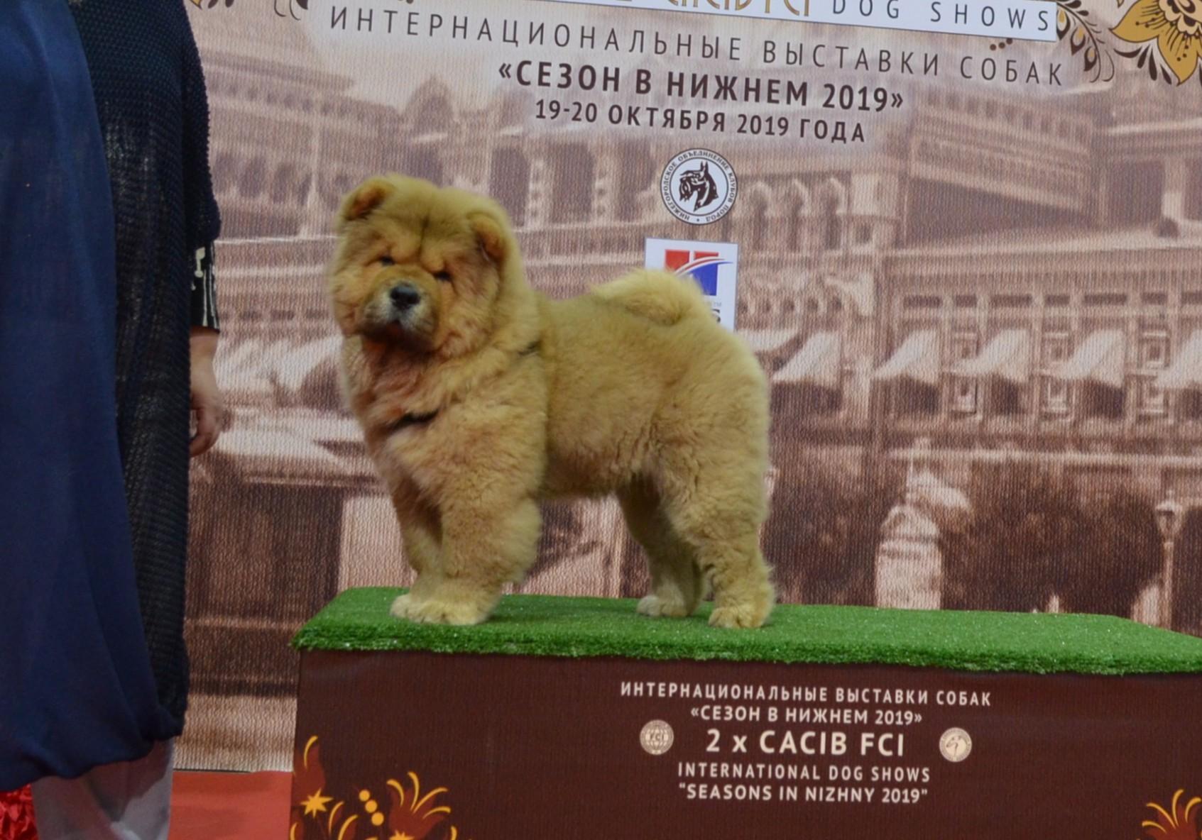 февраль 2013г. - 5 месяцев