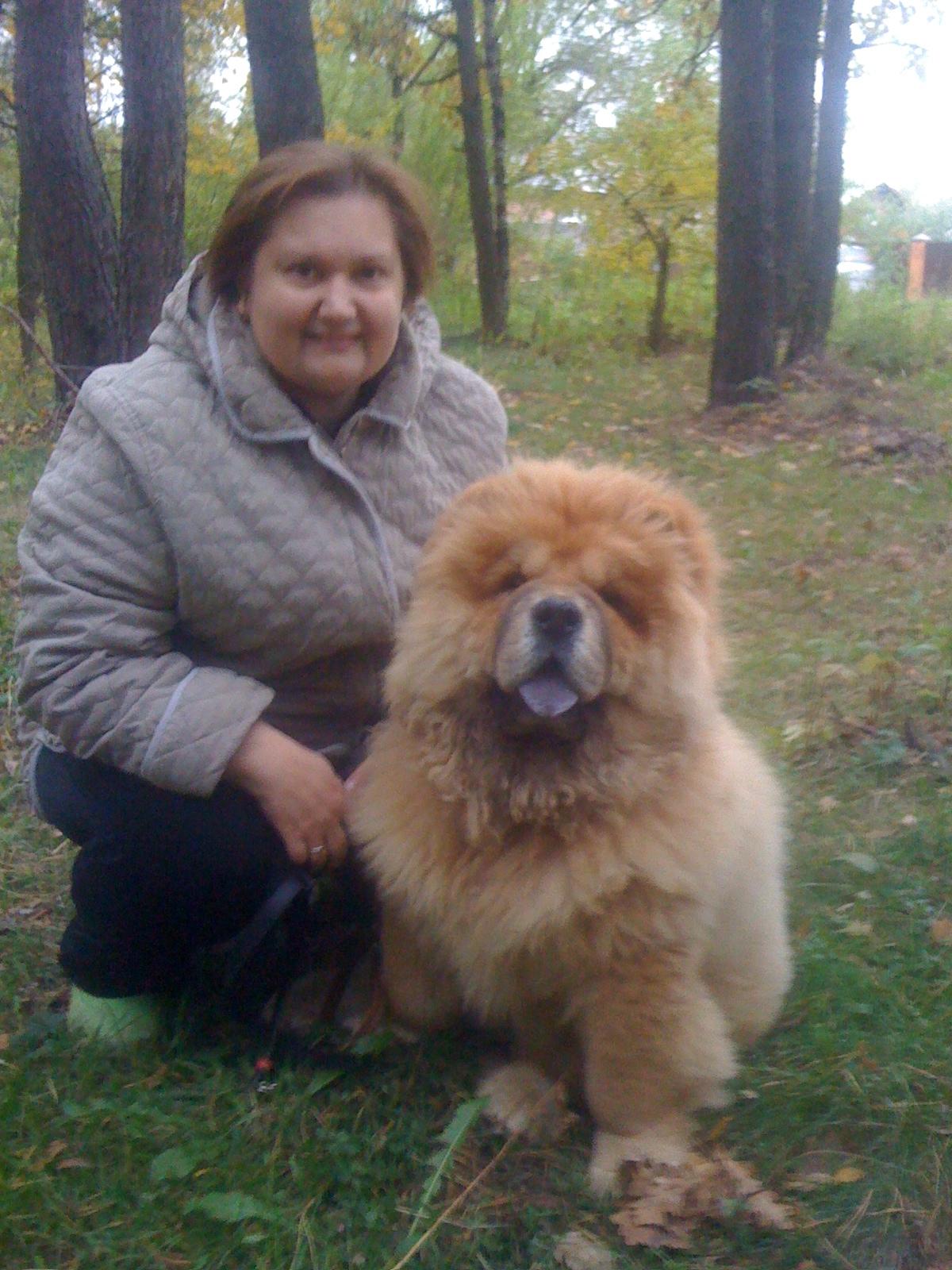Цезарь, 6 месяцев, уже не бэбик, а щенок