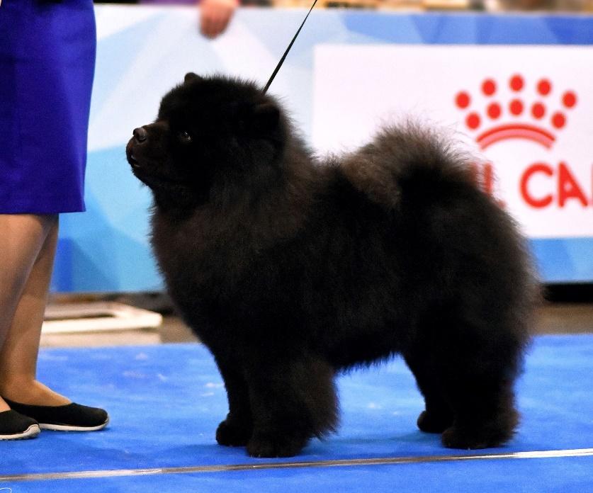 MIKETILLA MOON RIVER