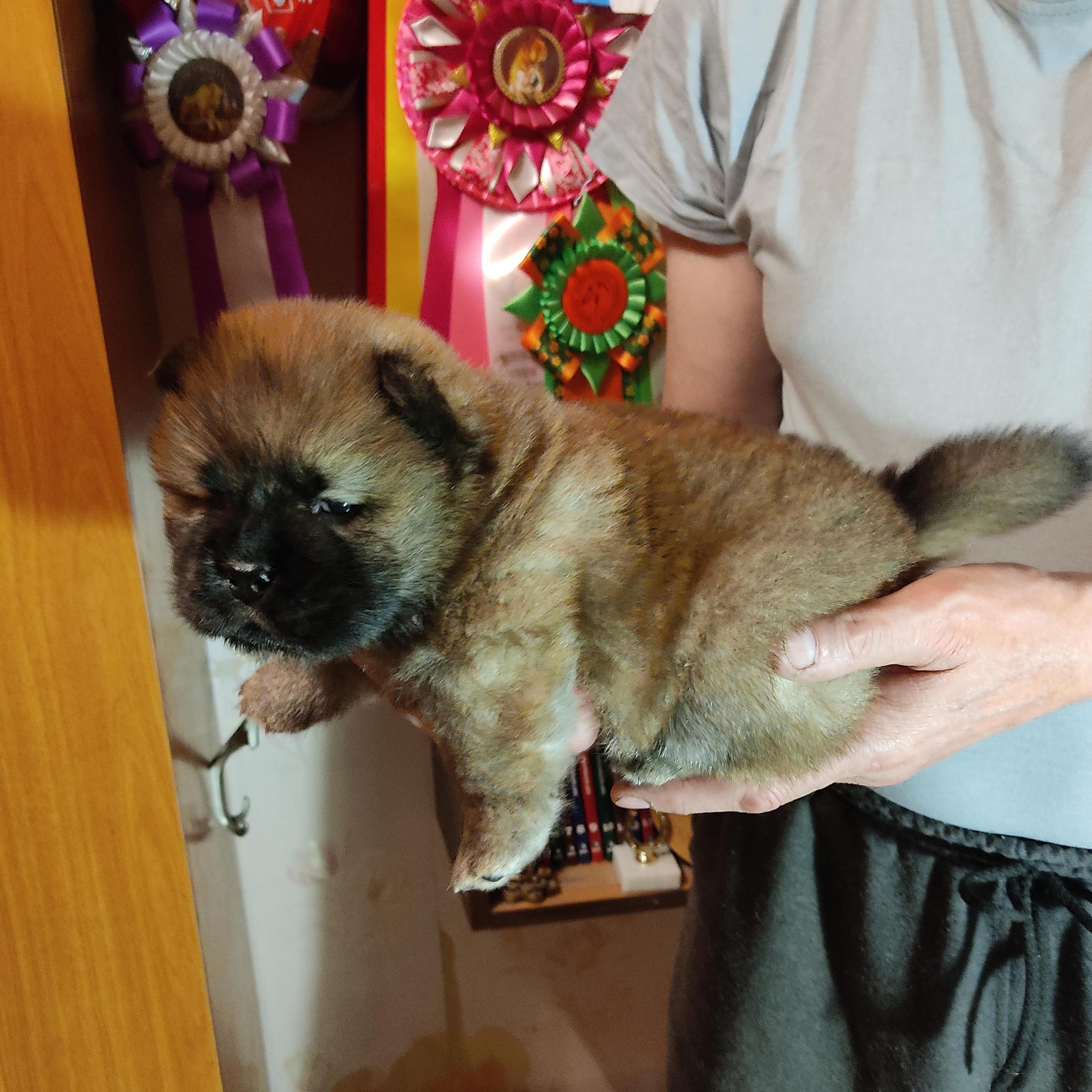 Клото Синтия Лонг Вэй