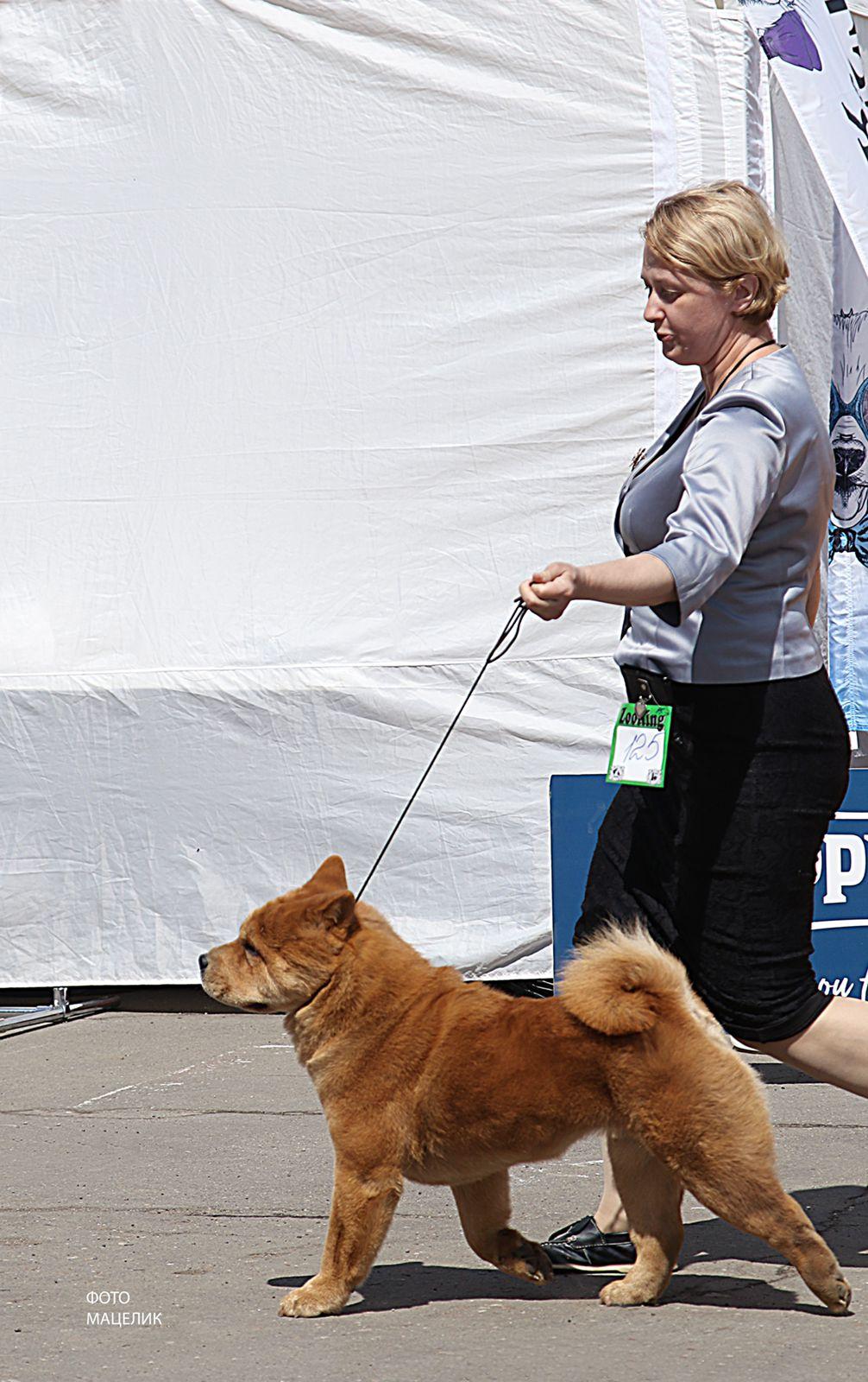 Клото Сантия Ли Мей 