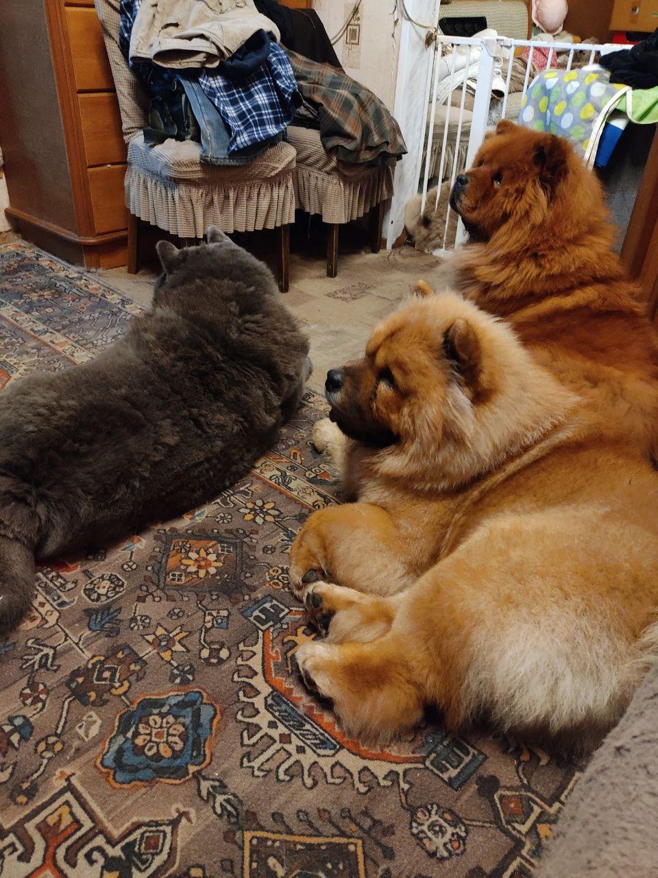 Сеня 7 месяцев