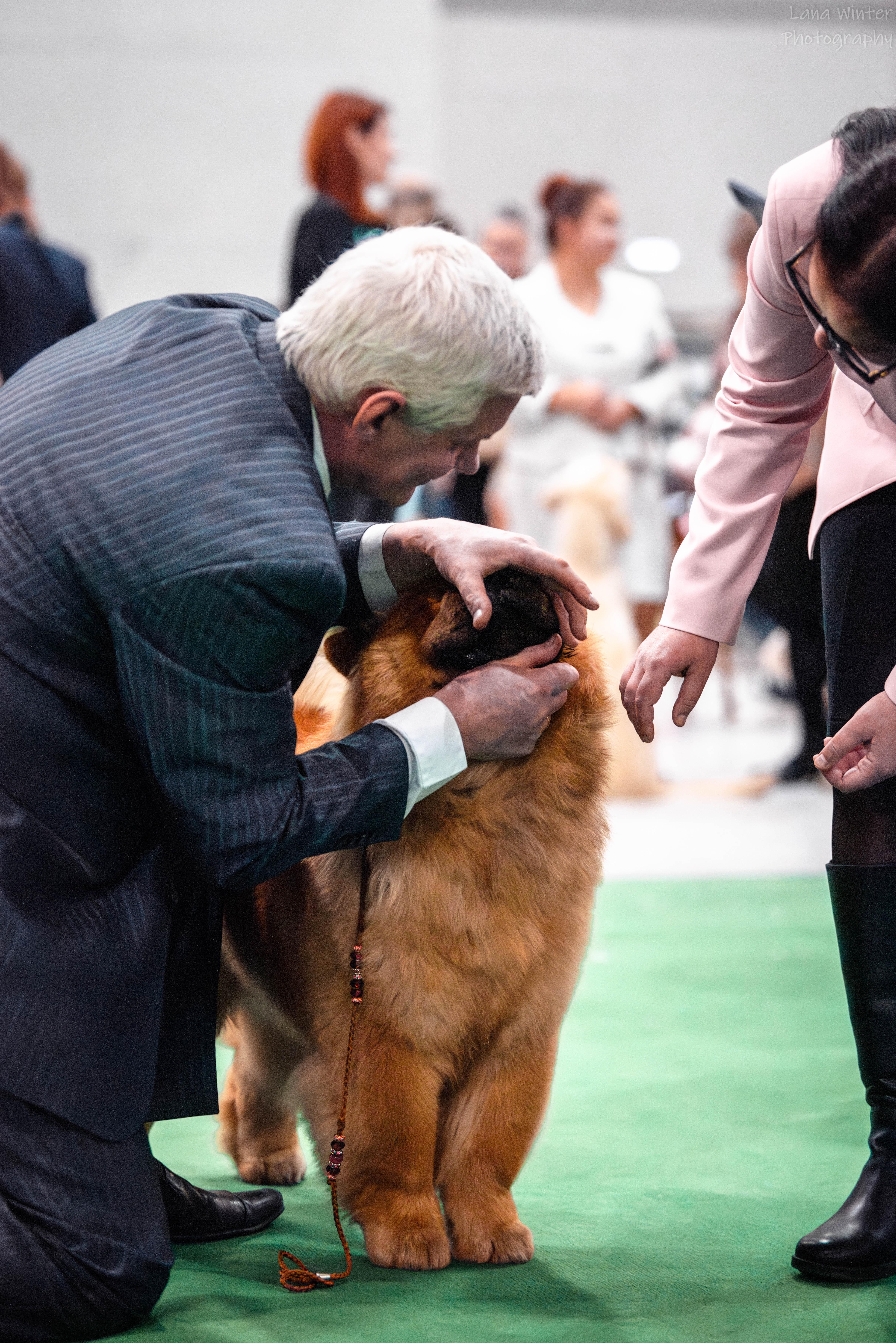 Сеня первая выставка  16.02.2013, ЛБ
