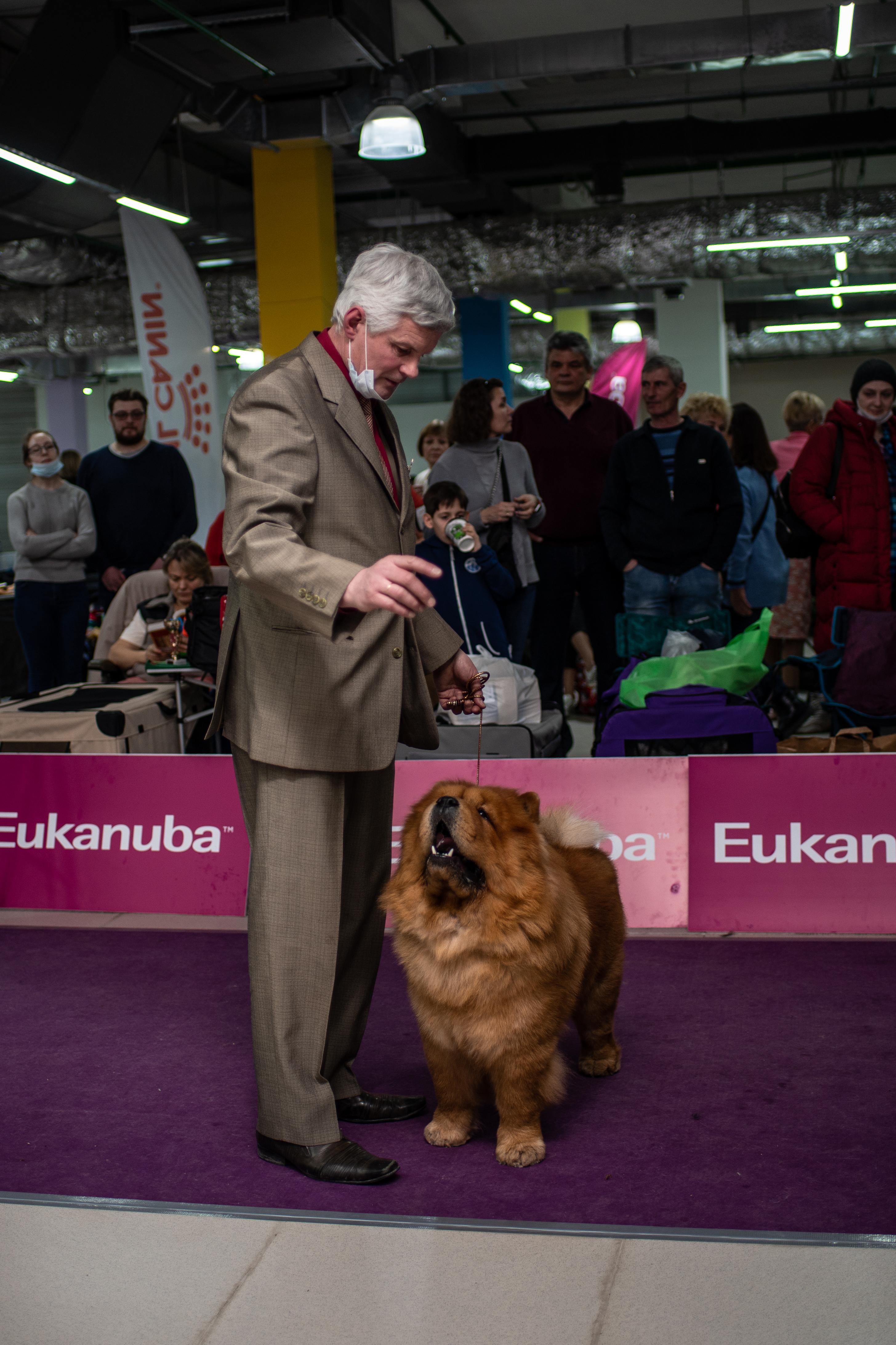 Сеня - 2,5 года - Евразия-2015 - 21.03.2015г. - отл. 3