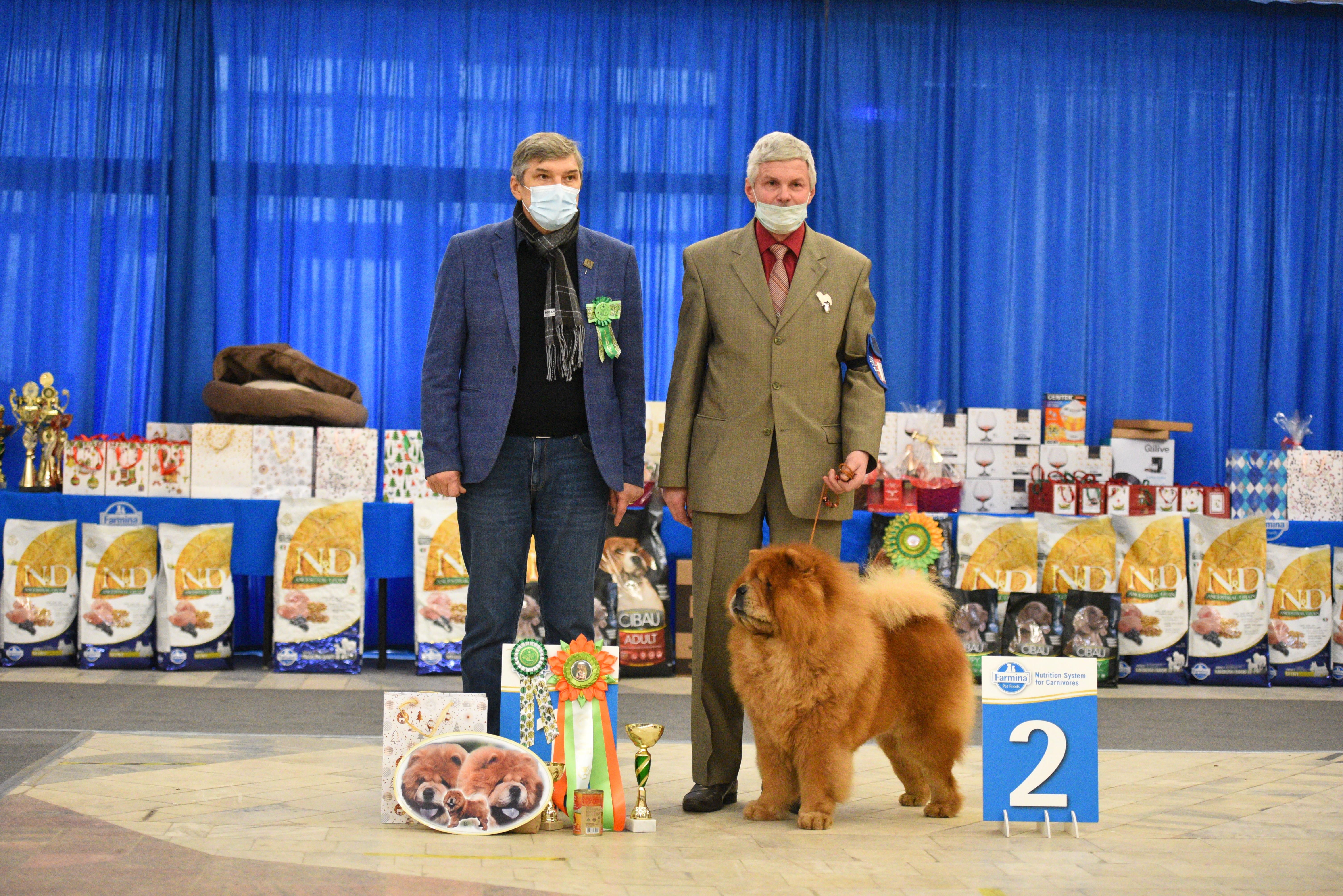 Сеня - 8 лет - г. Владимир - 28.11.2020 - отл.1, ЛВ, VCAC, ЛПП, BIG-3, VBIS-2