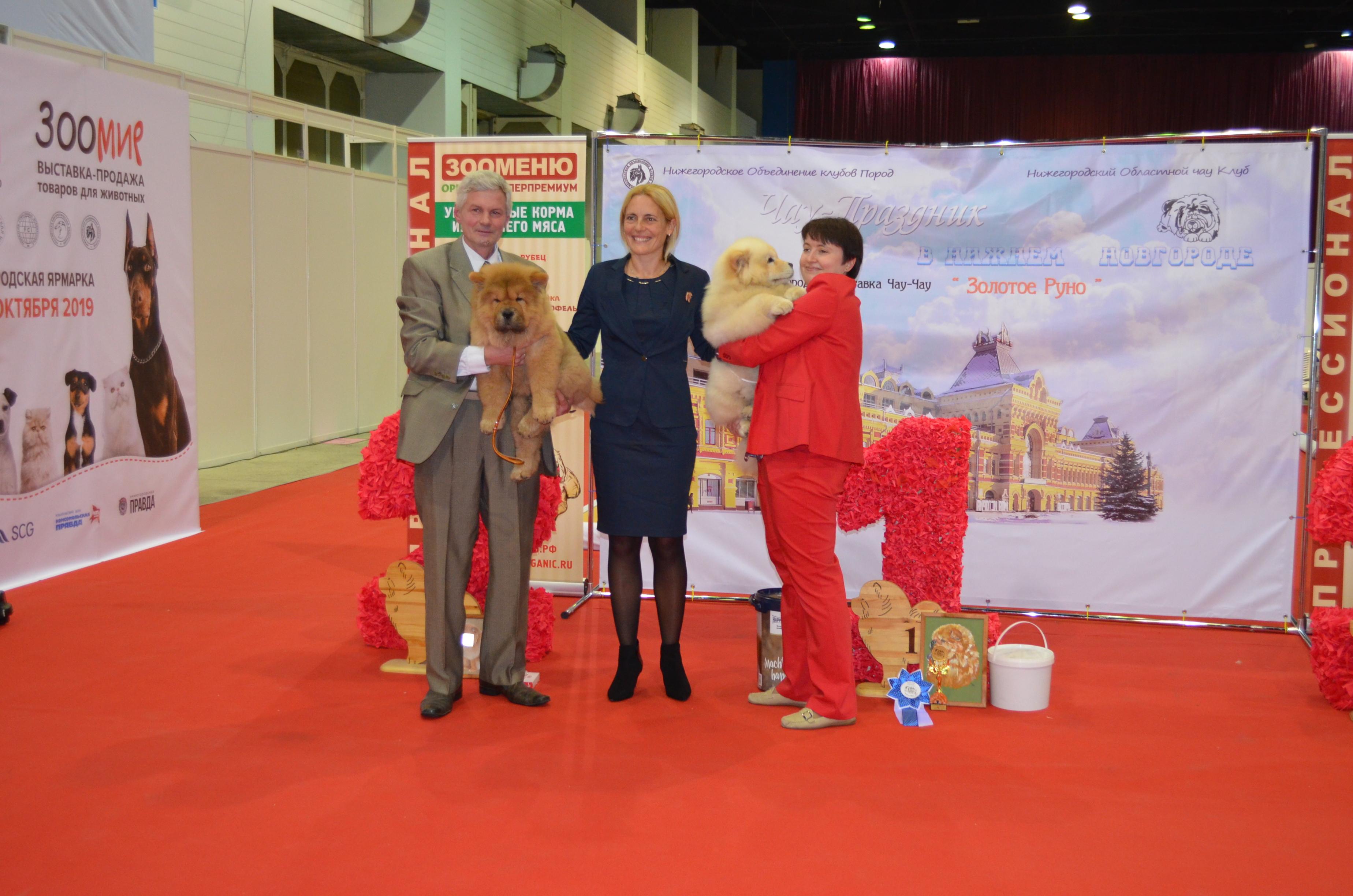 Сеня первая выставка  16.02.2013, ЛБ