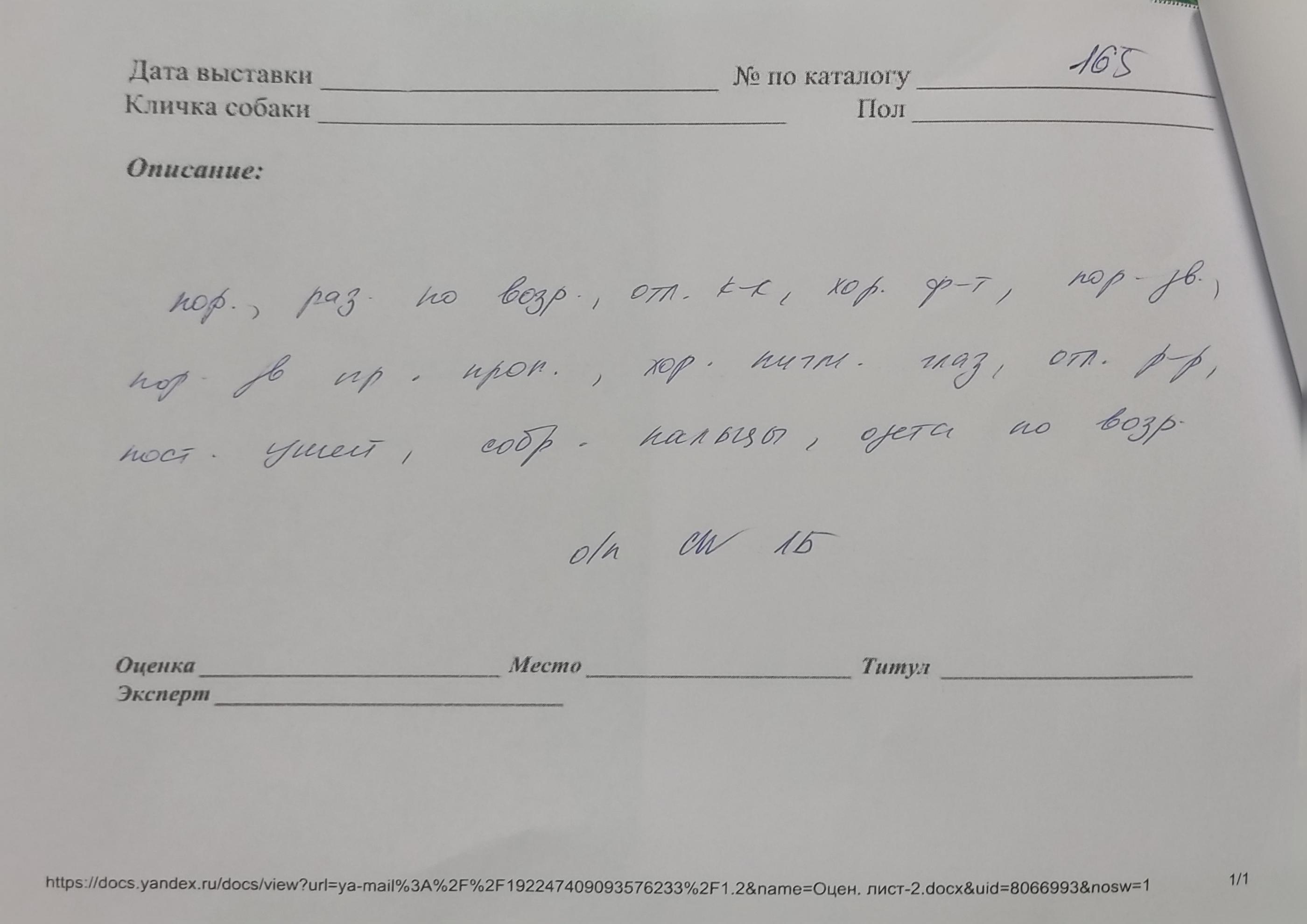 25.10.2025 Hip-Hop Djalo 