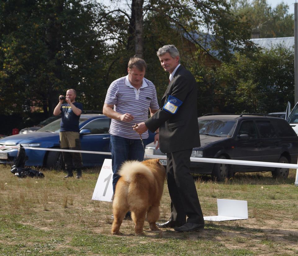 Сеня - 22 месяца - Пушкино - 13.09.2014 - отл., CW, ЛК, ЛПП, BIG-4