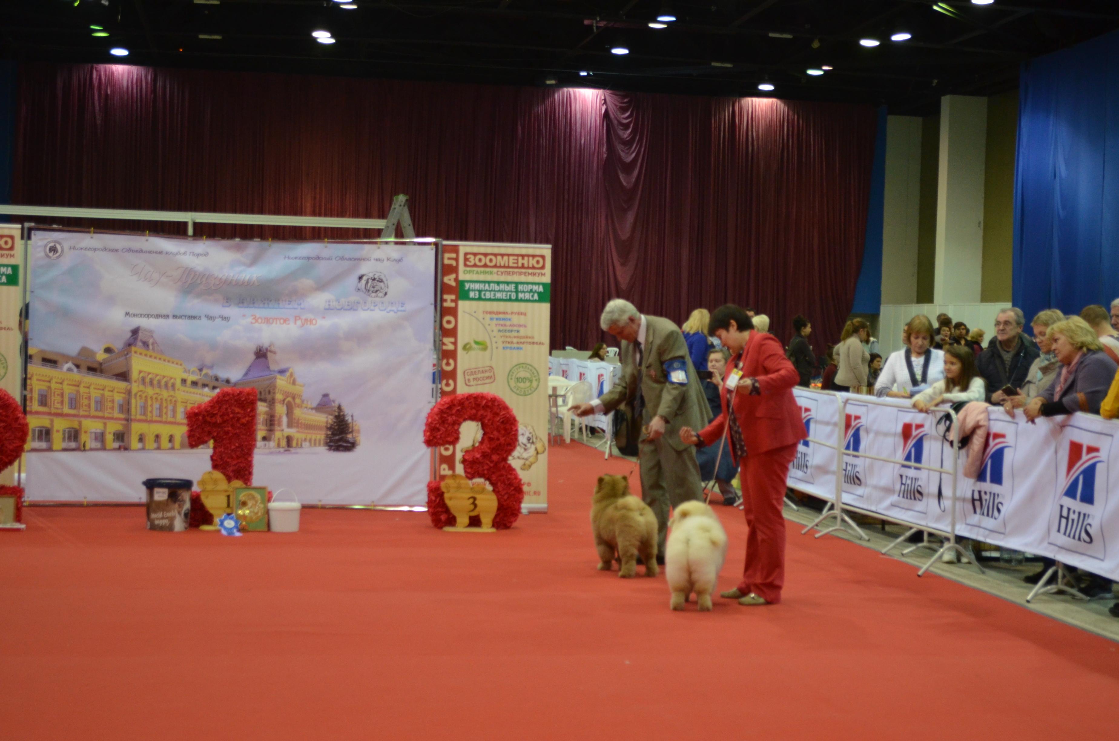 Сеня первая выставка  16.02.2013, ЛБ