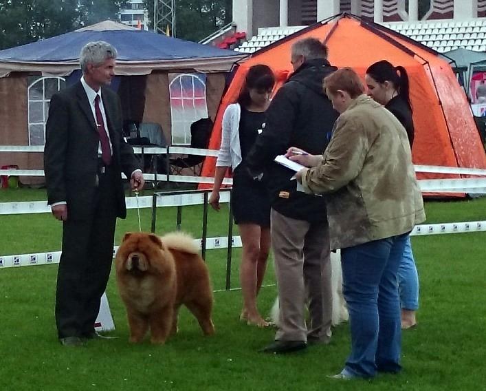 Сеня - 19 месяцев - Смоленск CACIB - 14.06.2014 - отл.2