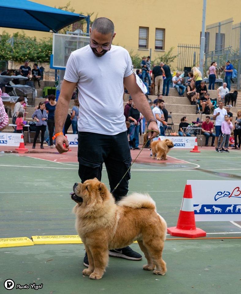 Клото Саманта Кобаджио