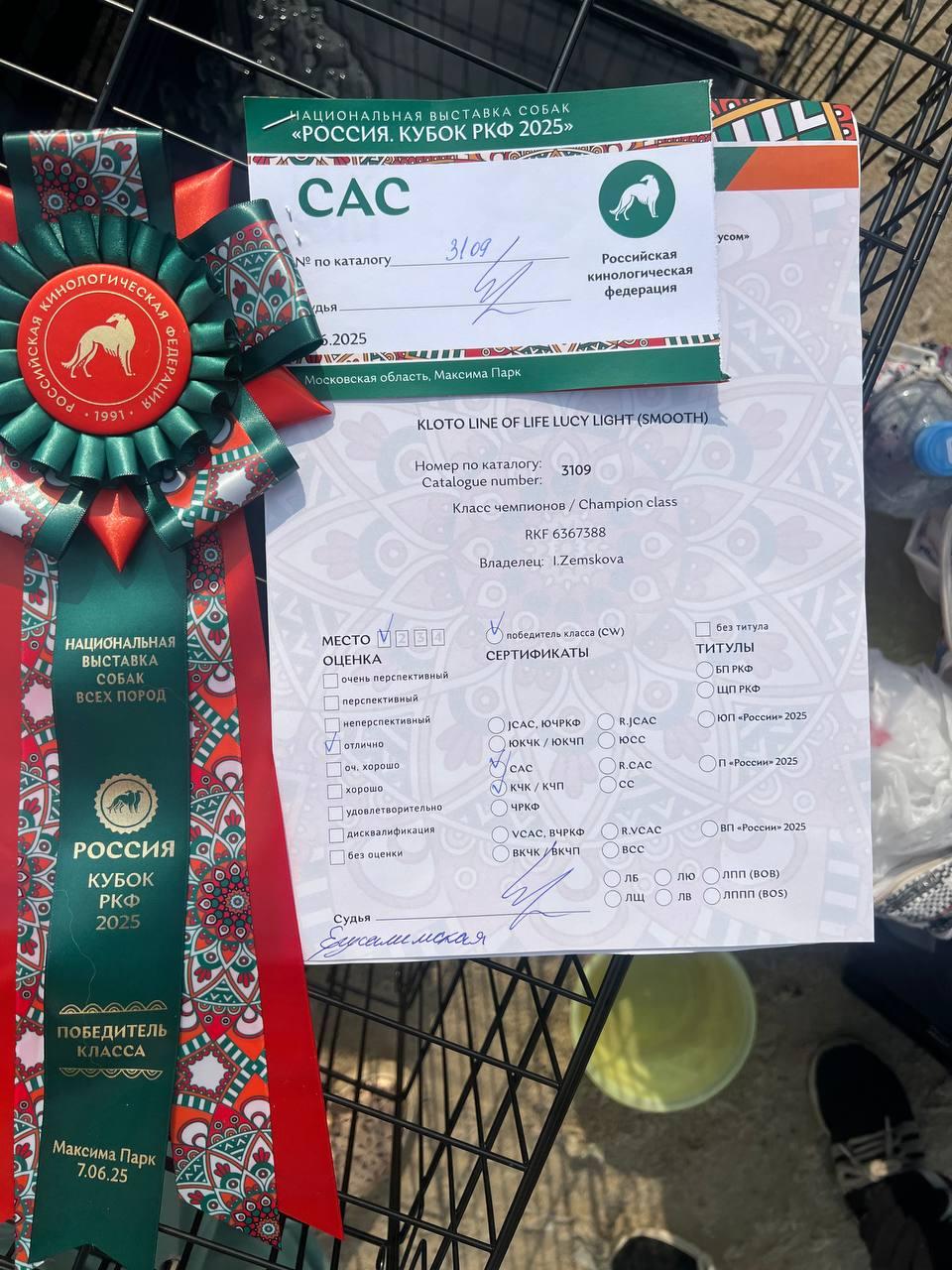 Клото Сантия Ли Мей 