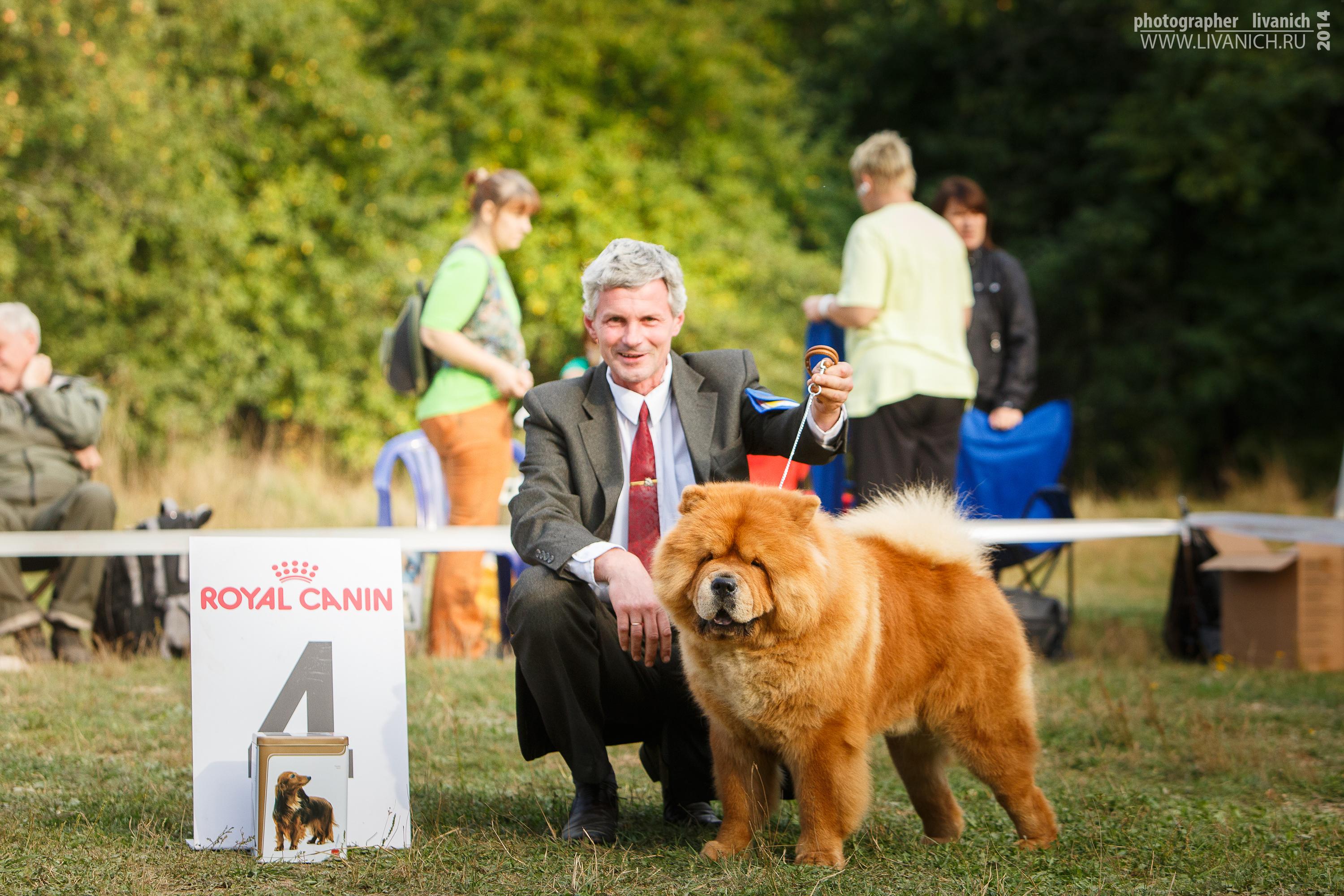 Сеня - 22 месяца - Пушкино - 13.09.2014 - отл., CW, ЛК, ЛПП, BIG-4