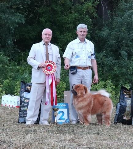 Сеня - 15 месяцев - Фауна - 08.02.2014 - отл., CW, САС, ЧФ