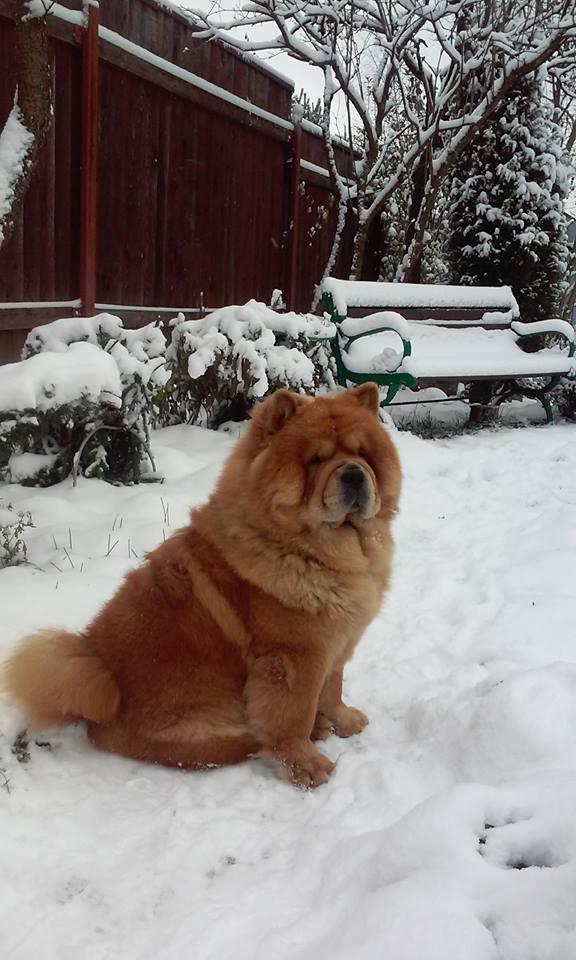 Клото Сильвия Мин Чжу