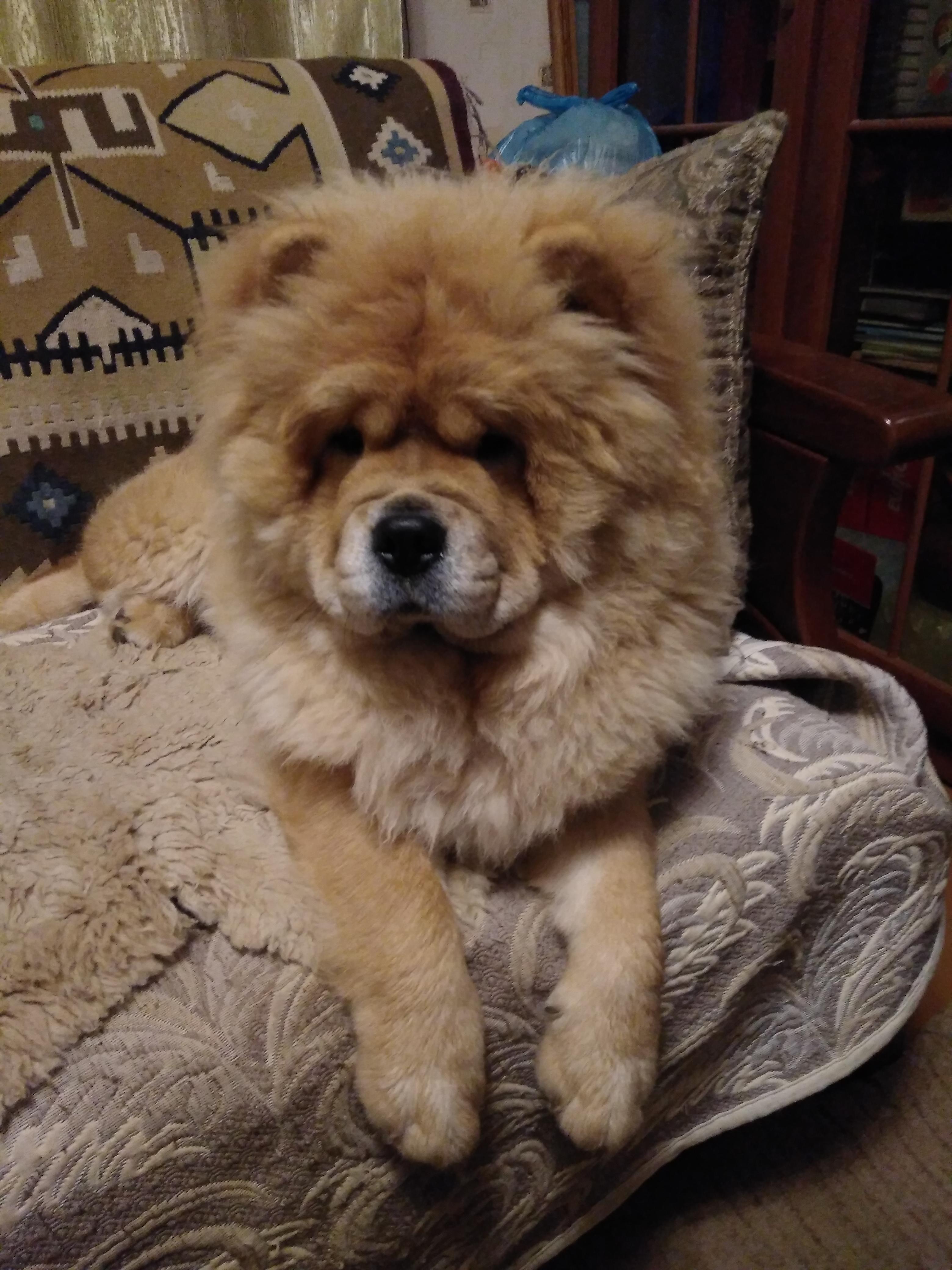 Клото Сильвия Мин Чжу