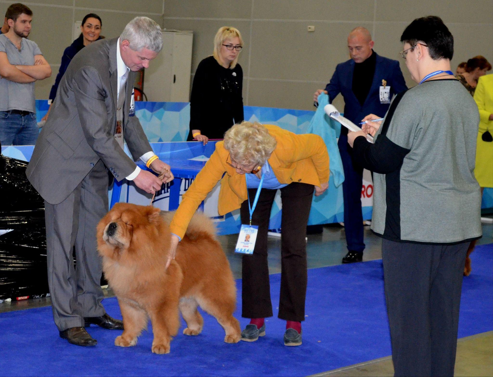 Сеня - 5 лет -  Россия -2017 - 18.11.2017г. - отл. 4