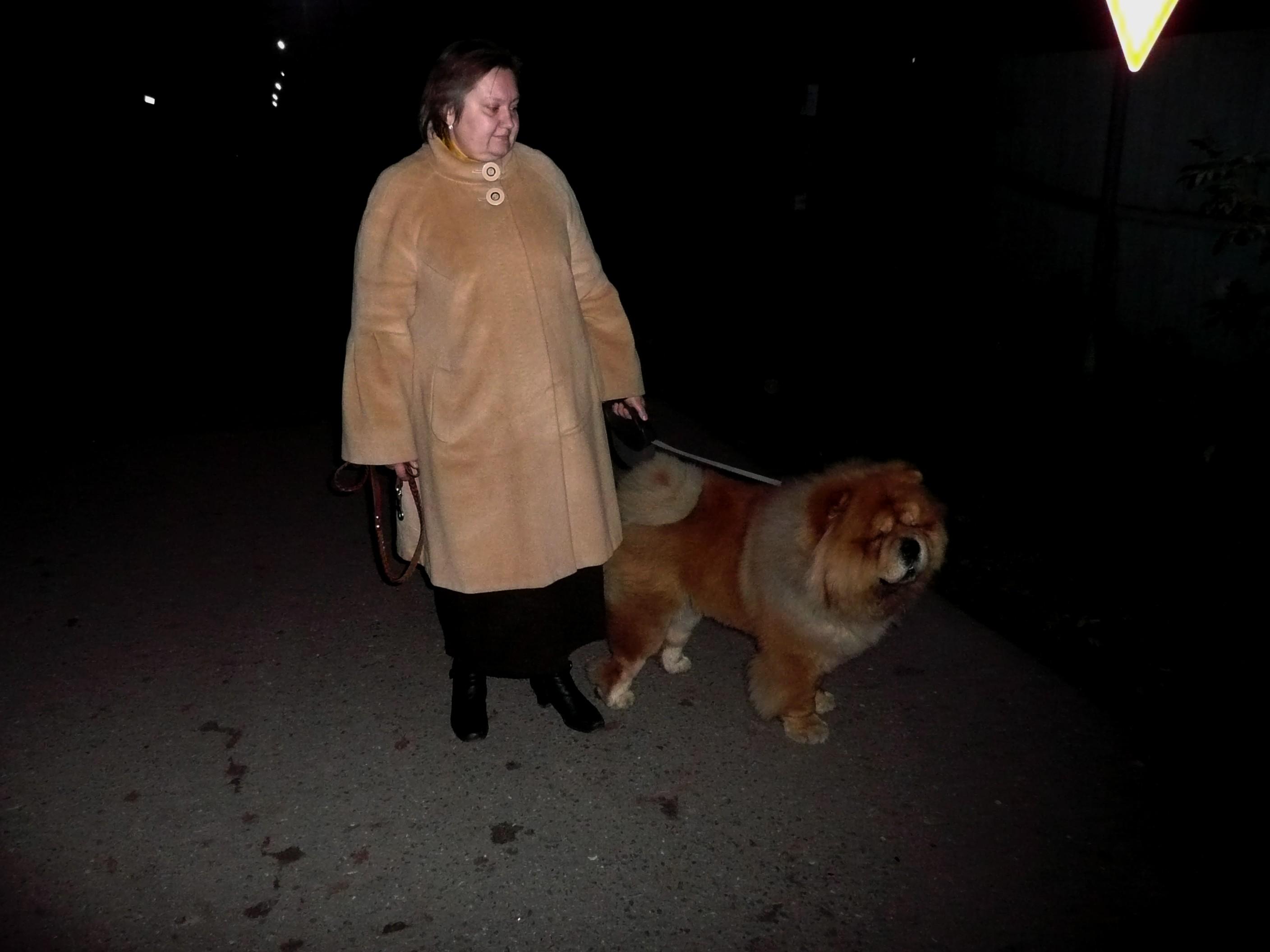 Цезарь 18 месяцев 