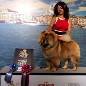 KING OF EGYPT DE LOS PERROS DE BIGO