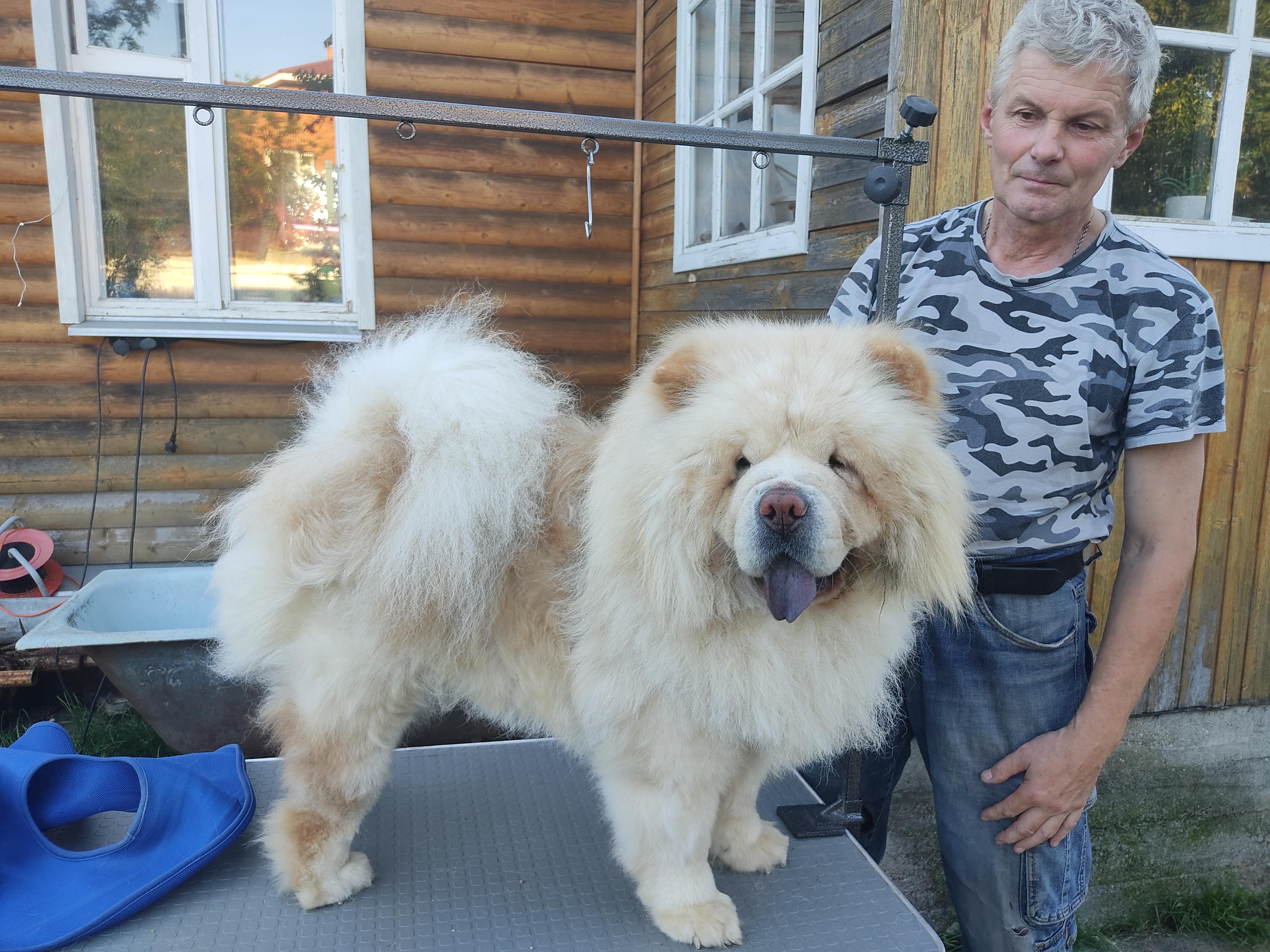 Клото Саманта Кобаджио