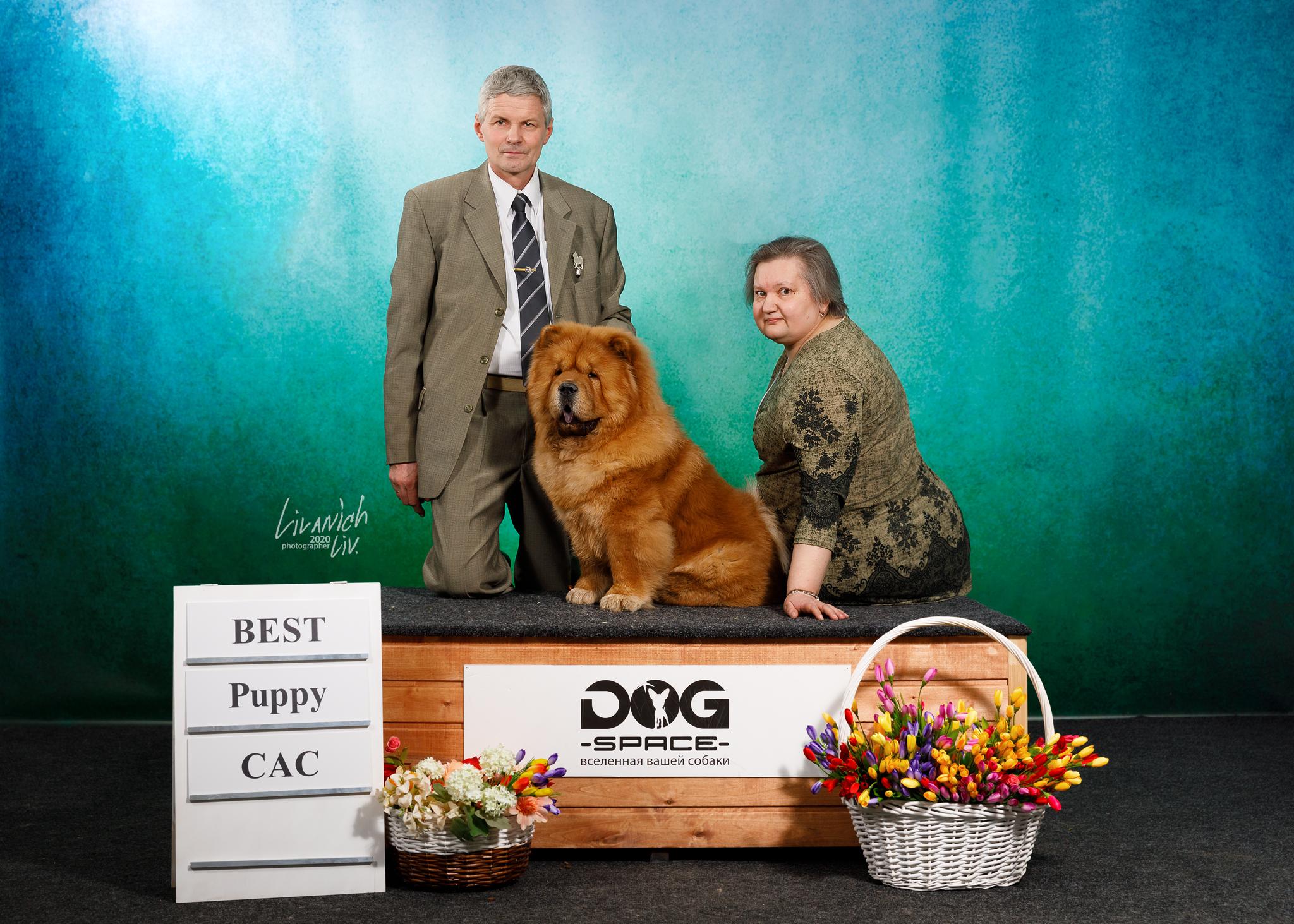 Сеня - 15 месяцев - Фауна - 08.02.2014 - отл., CW, САС, ЧФ