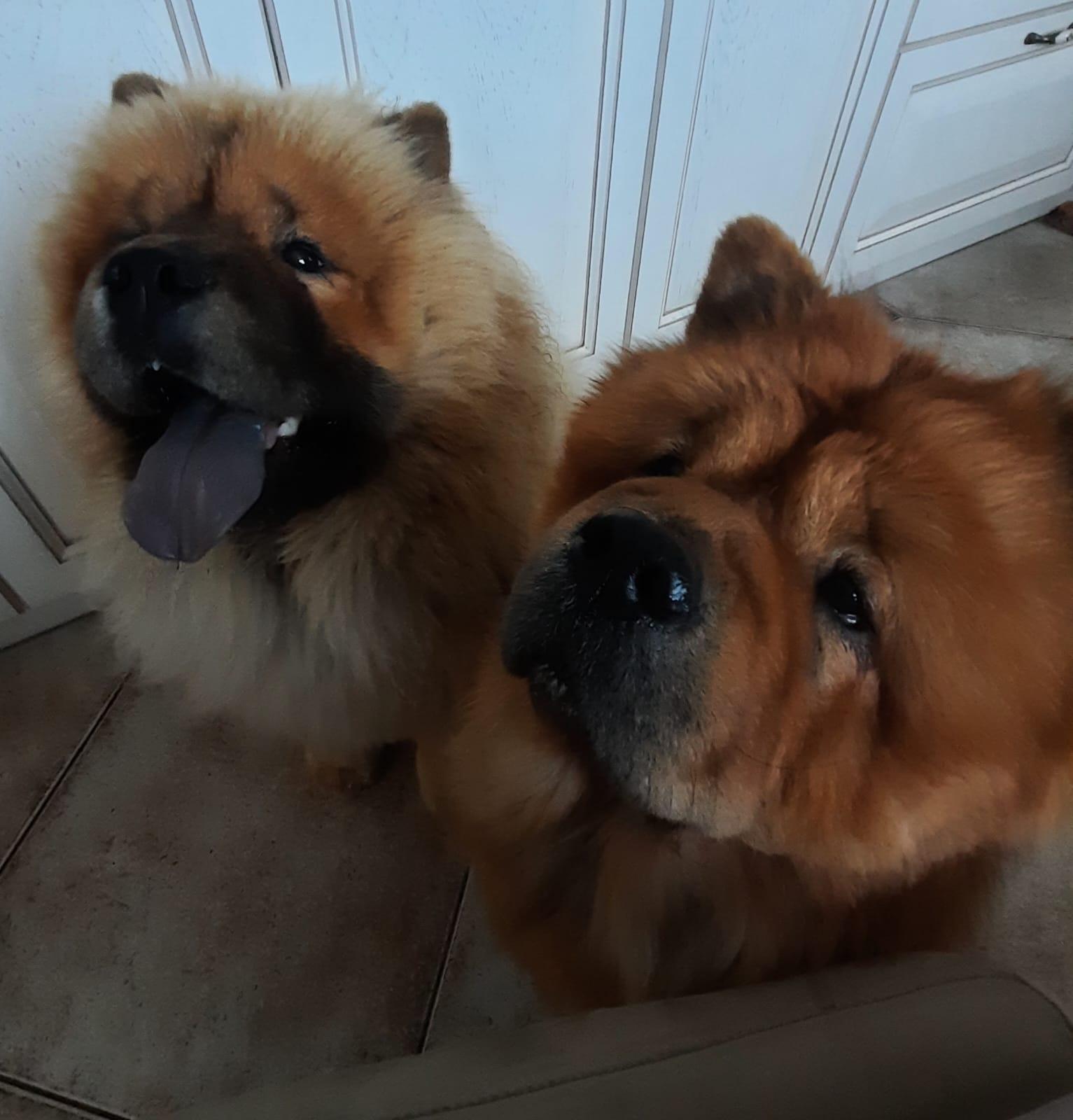 Клото Стефания Гуанчжоу