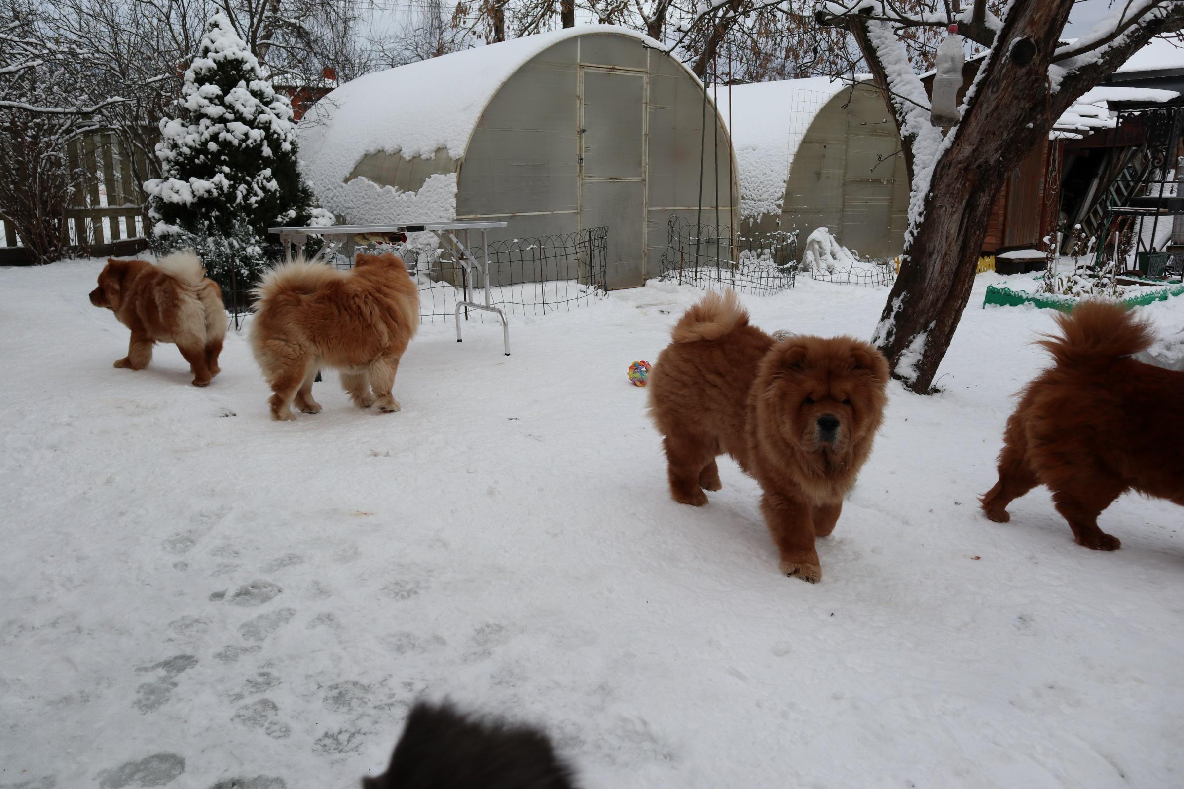 Сеня 7 месяцев