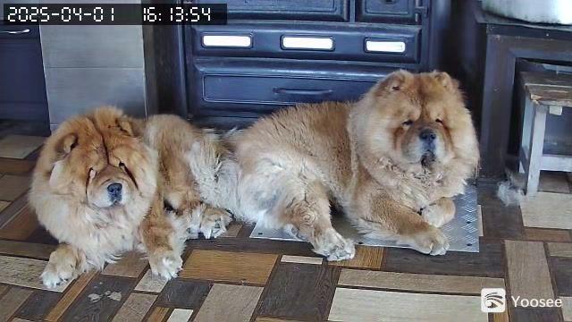 Клото Сантия Ли Мей 