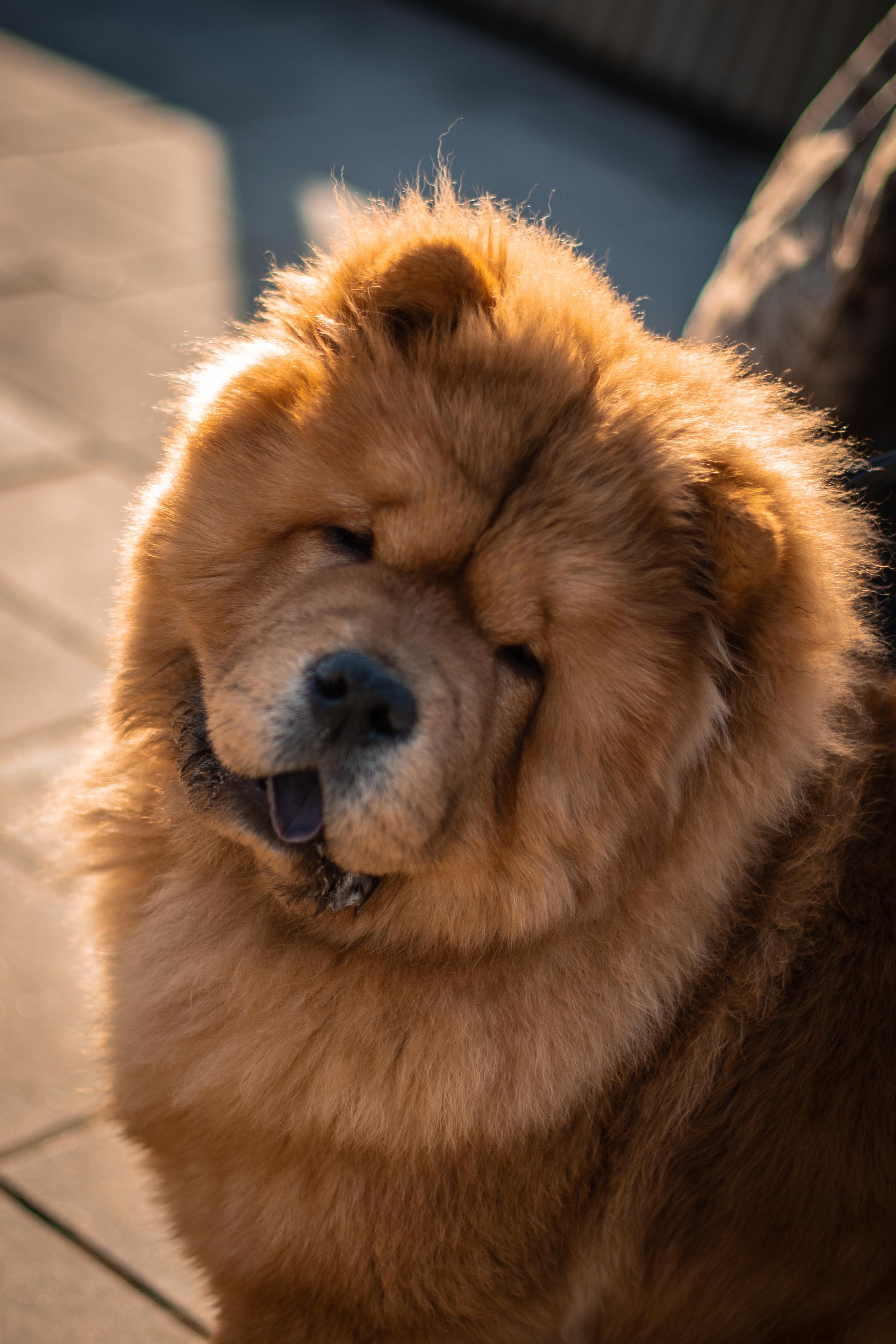 Сеня 7 месяцев