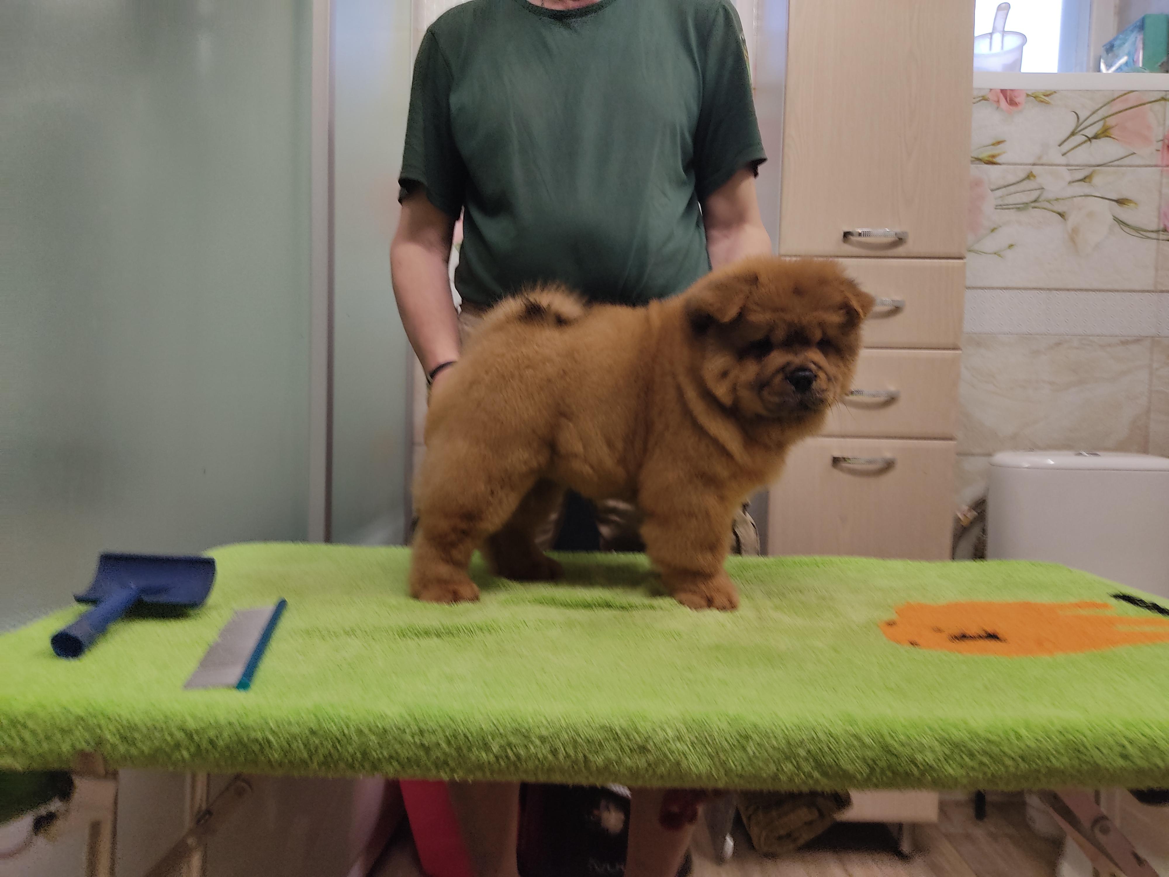 Клото Сани Анджонг