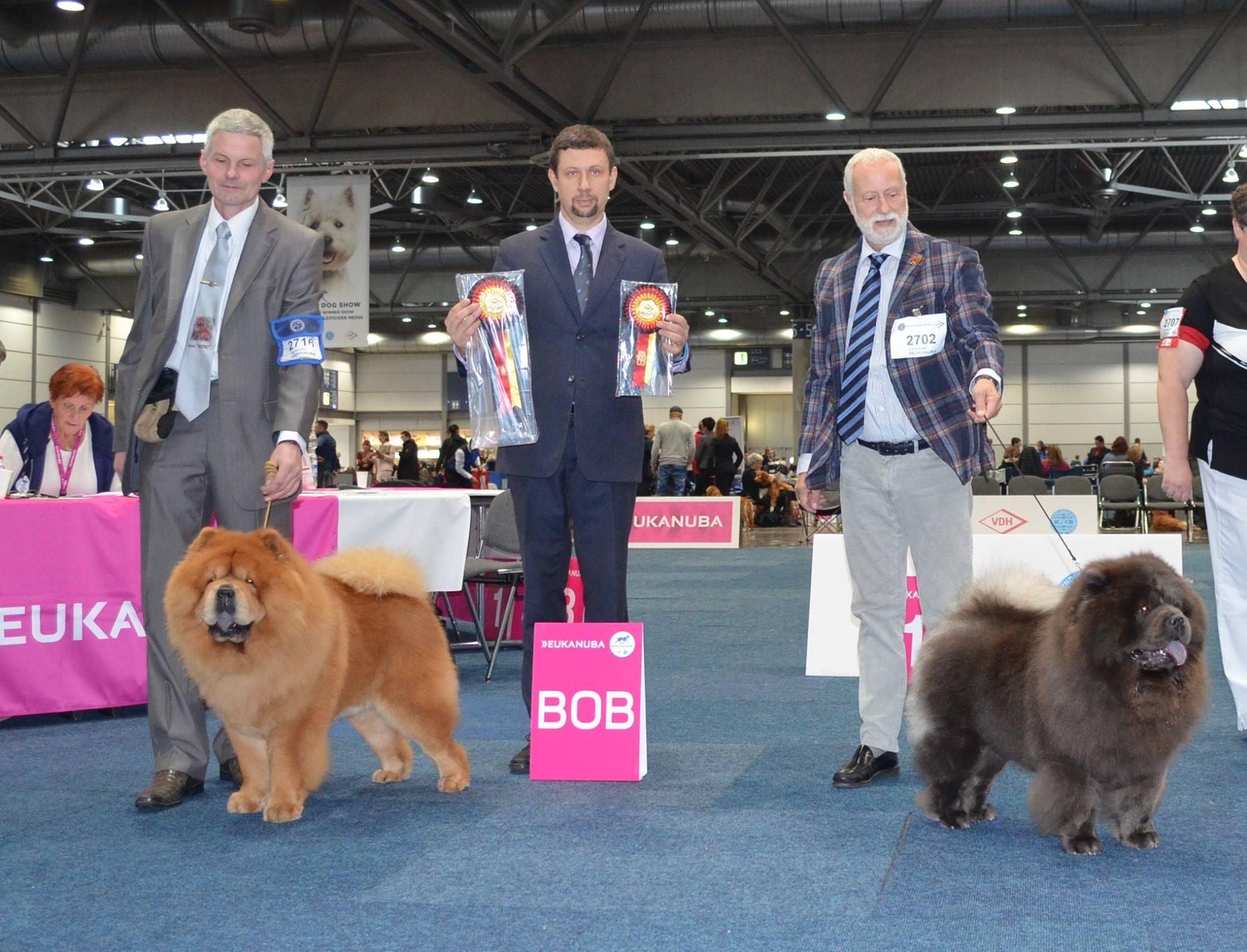 Сеня - 5 лет -  Germany Winner Show (Лейпциг) - 08.11.2017г. - отл.1, CW, ЛК, ЛПП