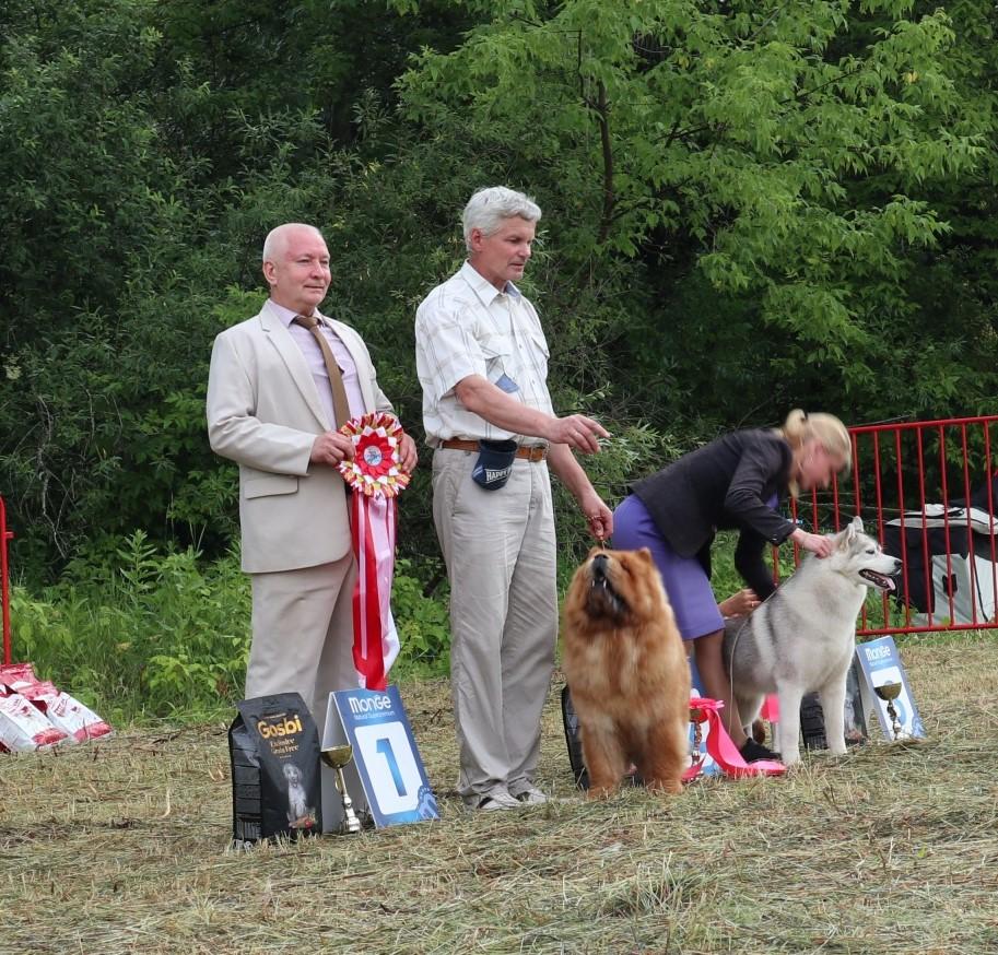 Сеня - 15 месяцев - Фауна - 08.02.2014 - отл., CW, САС, ЧФ