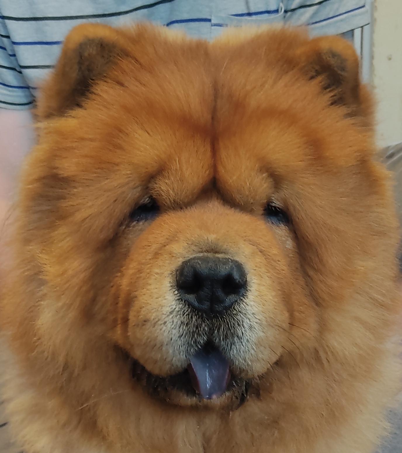 Сеня 7 месяцев