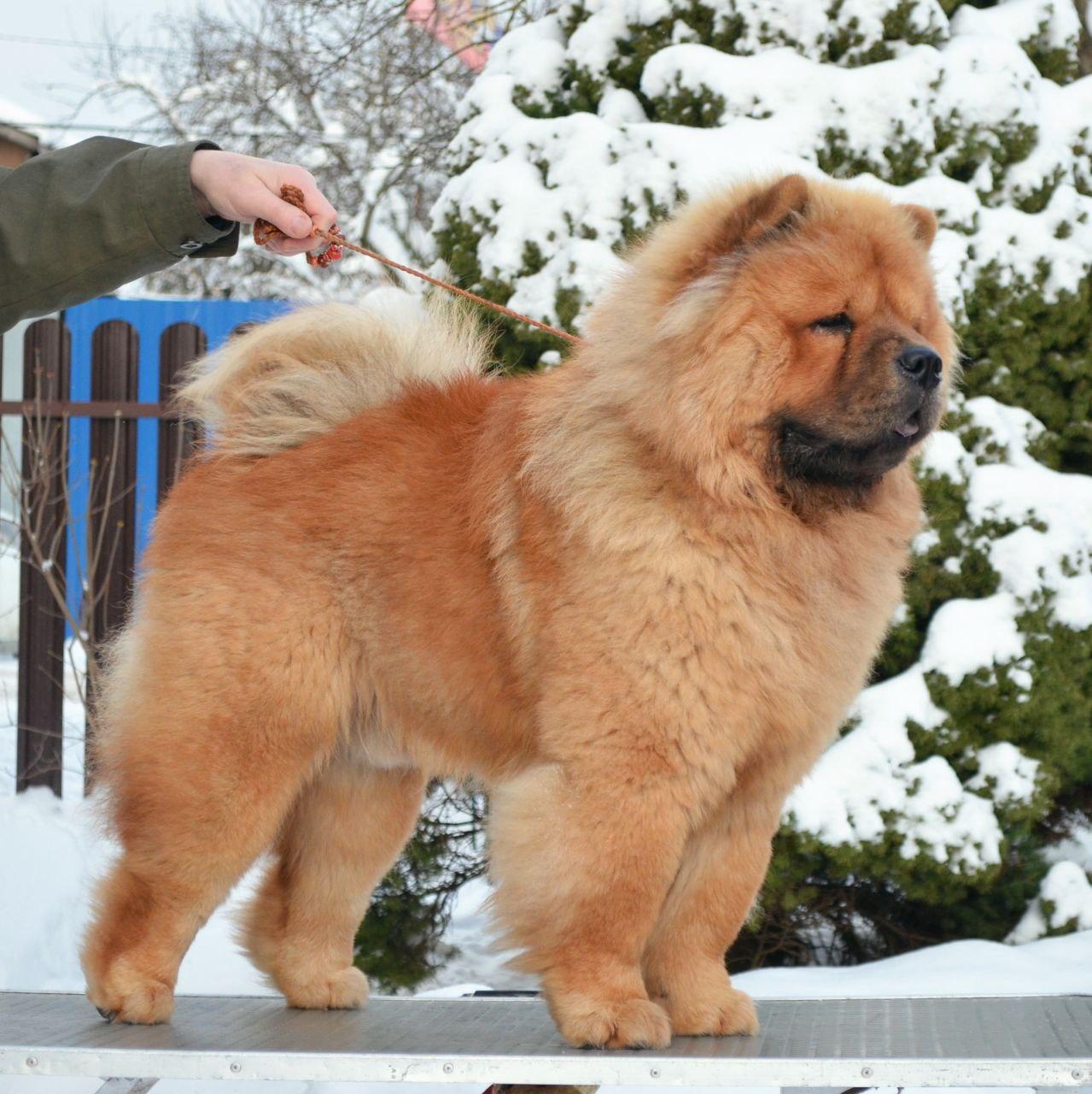 Сеня 7 месяцев