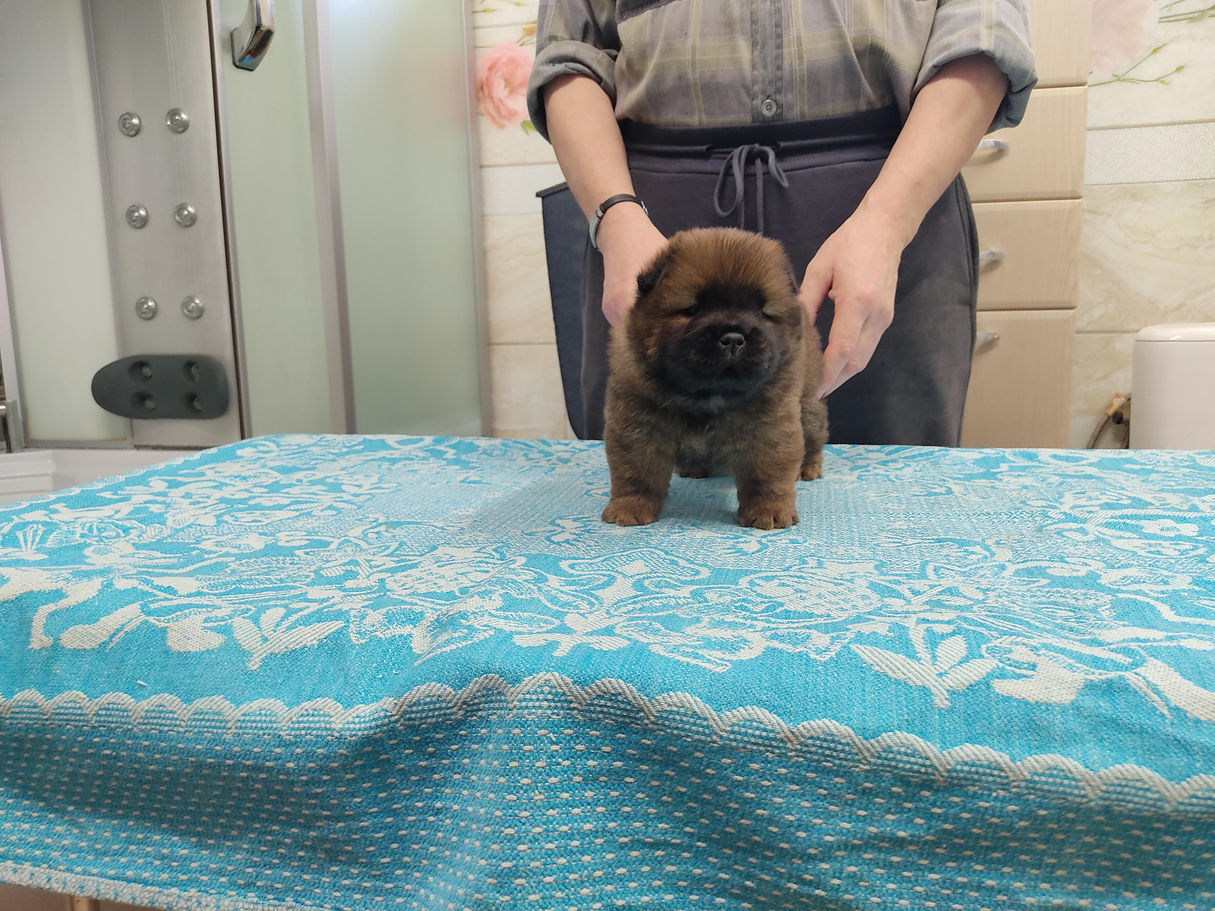 Клото Сани Анджонг