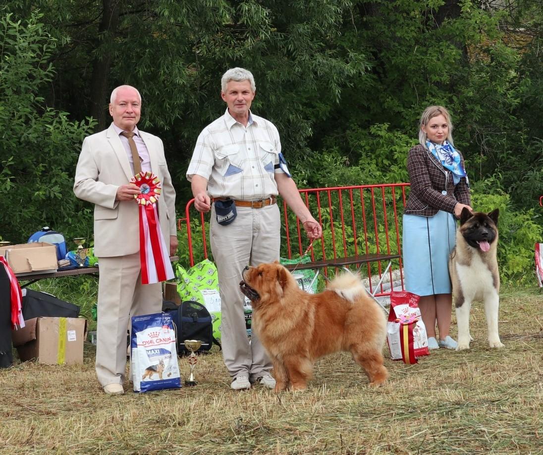 ЛЮ, ЛПП, 16 ноября 2013 Сокольники