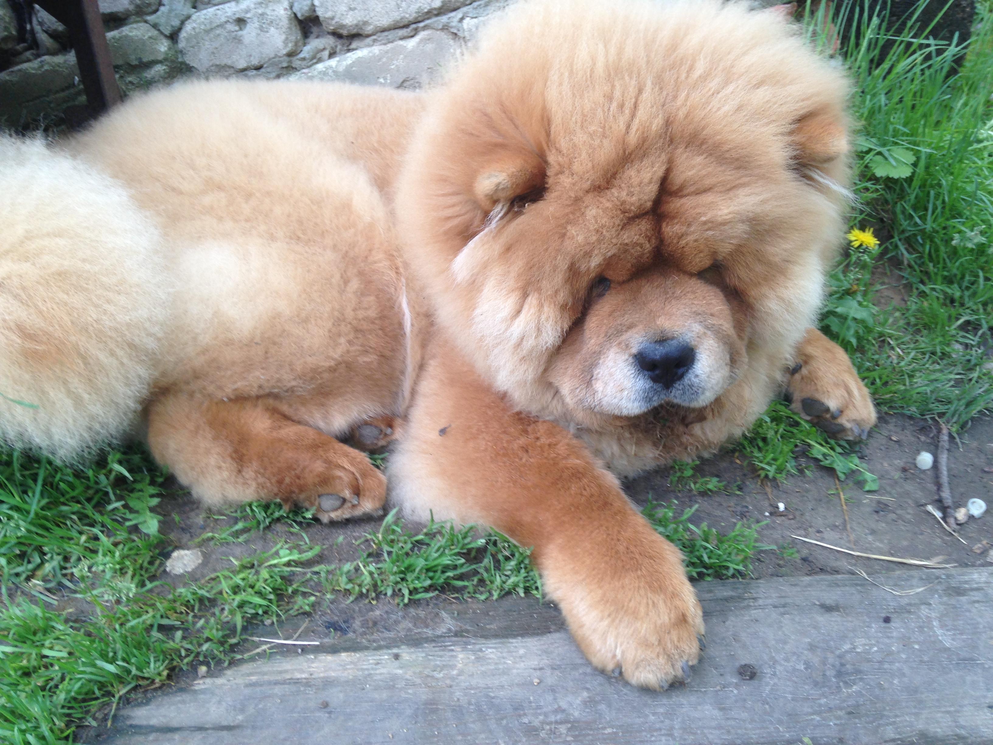 Сеня 7 месяцев