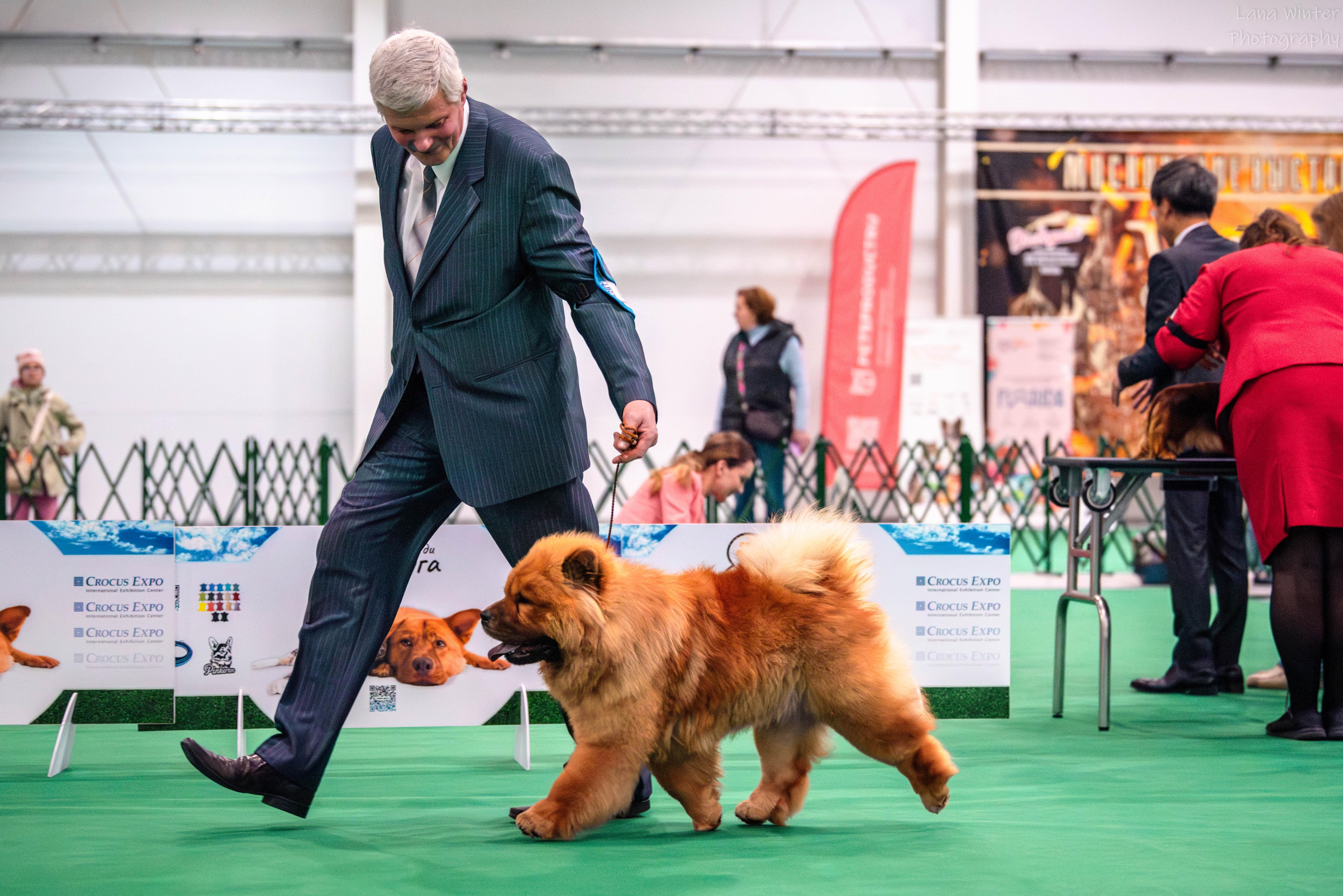 Сеня первая выставка  16.02.2013, ЛБ